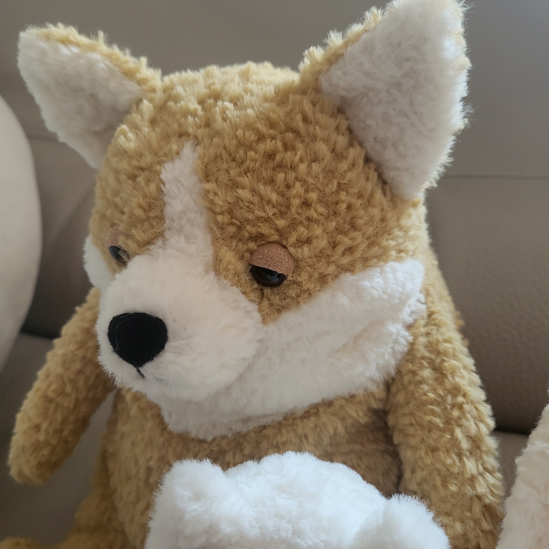 Jellycat Amore Corgi Honey 착용 스타일