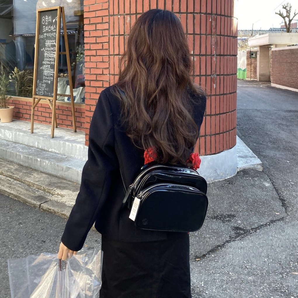 Nieeh Women Turtle Bag Black, Nieeh Women Turtle Bag Brown 착용 스타일