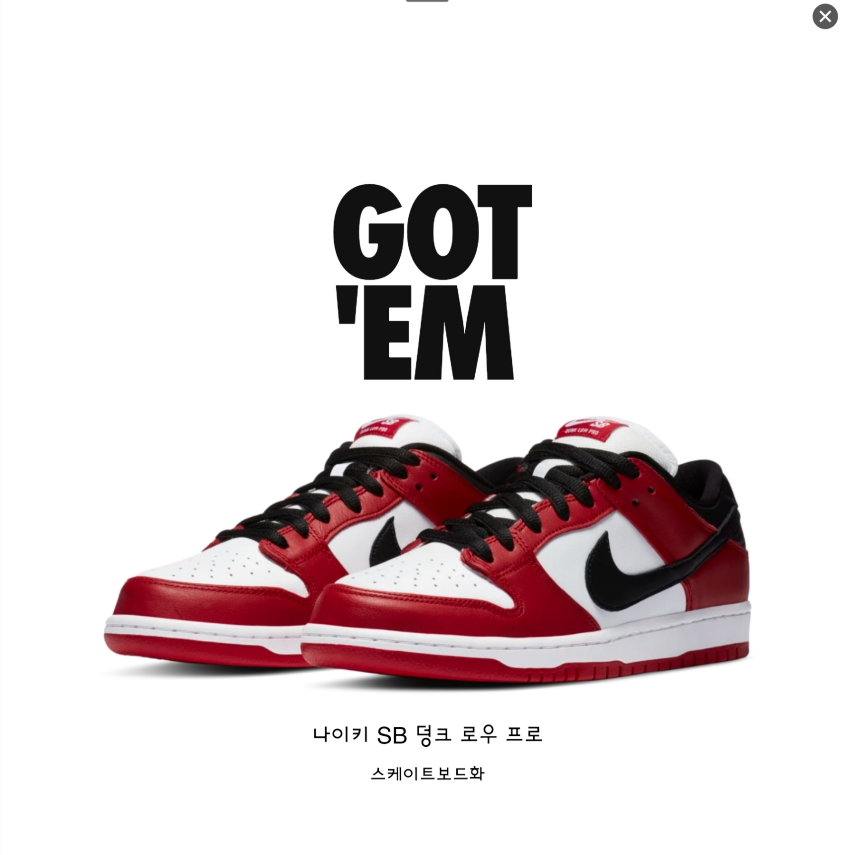 Nike SB Dunk Low Pro Chicago 착용 스타일