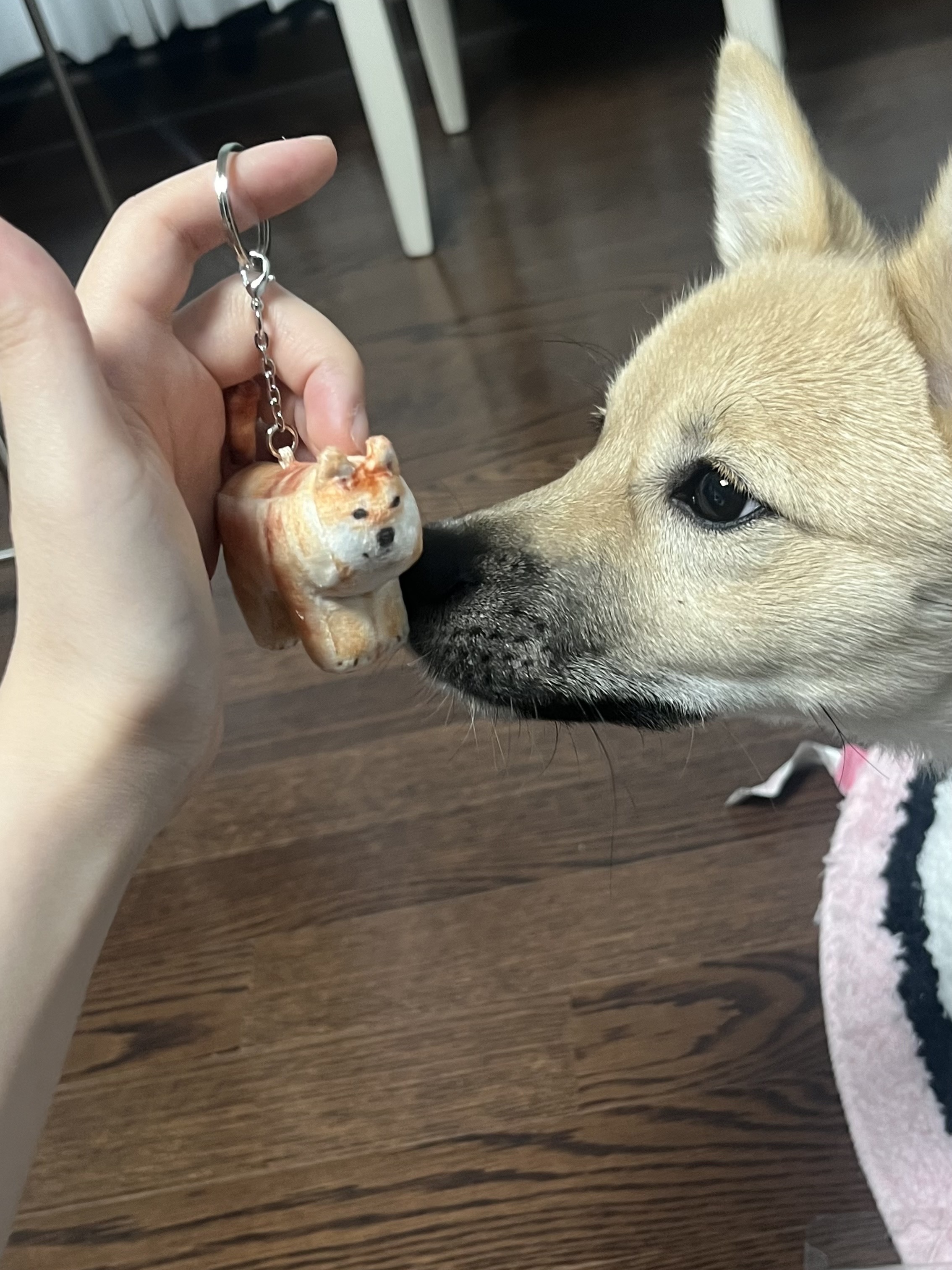 Soft Thumbnail Guma, Shiba Inu 착용 스타일 - 7