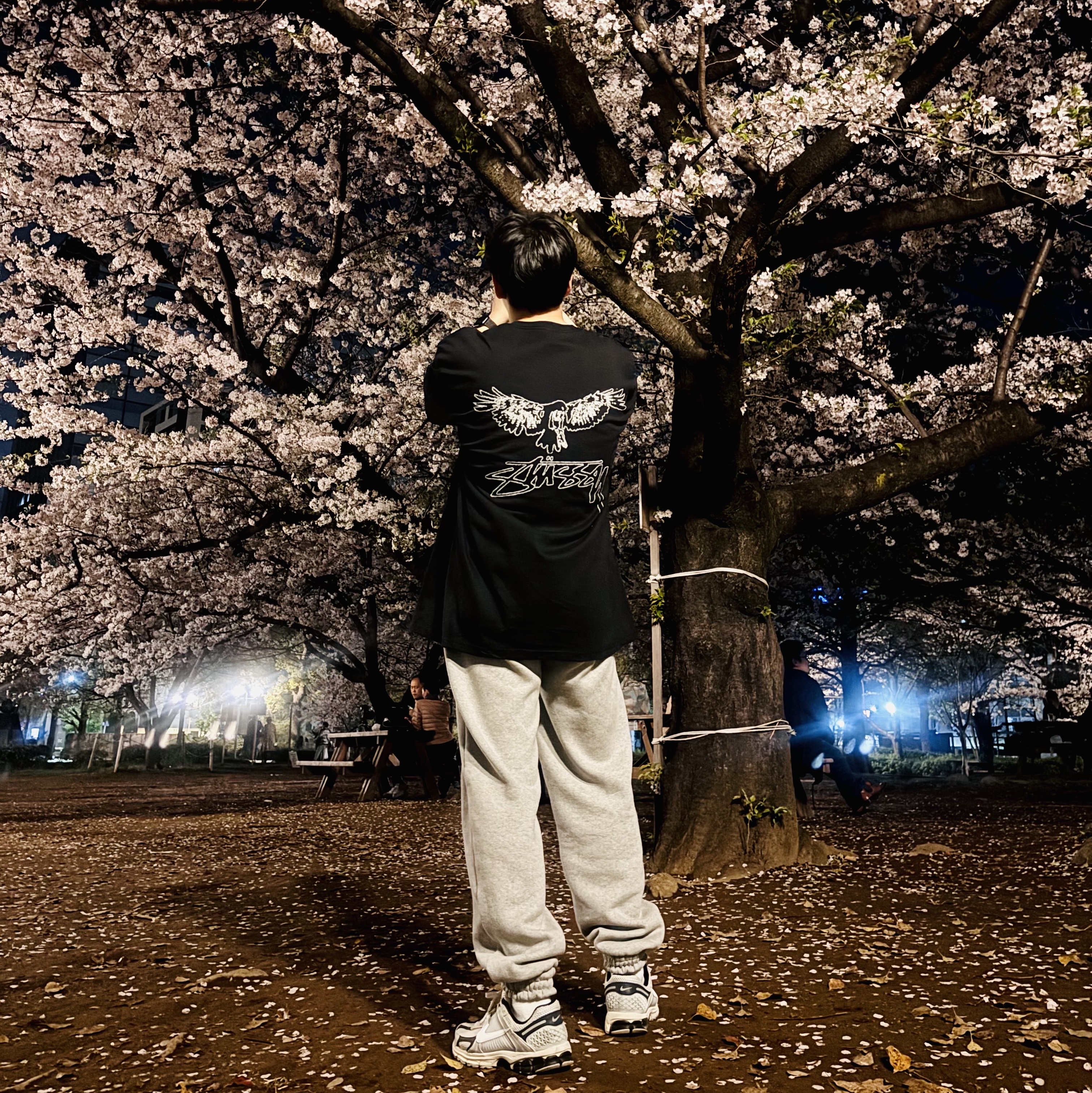 Stussy Wingspan T-Shirt Black, Nike Zoom Vomero 5 Light Bone and Black 착용 스타일