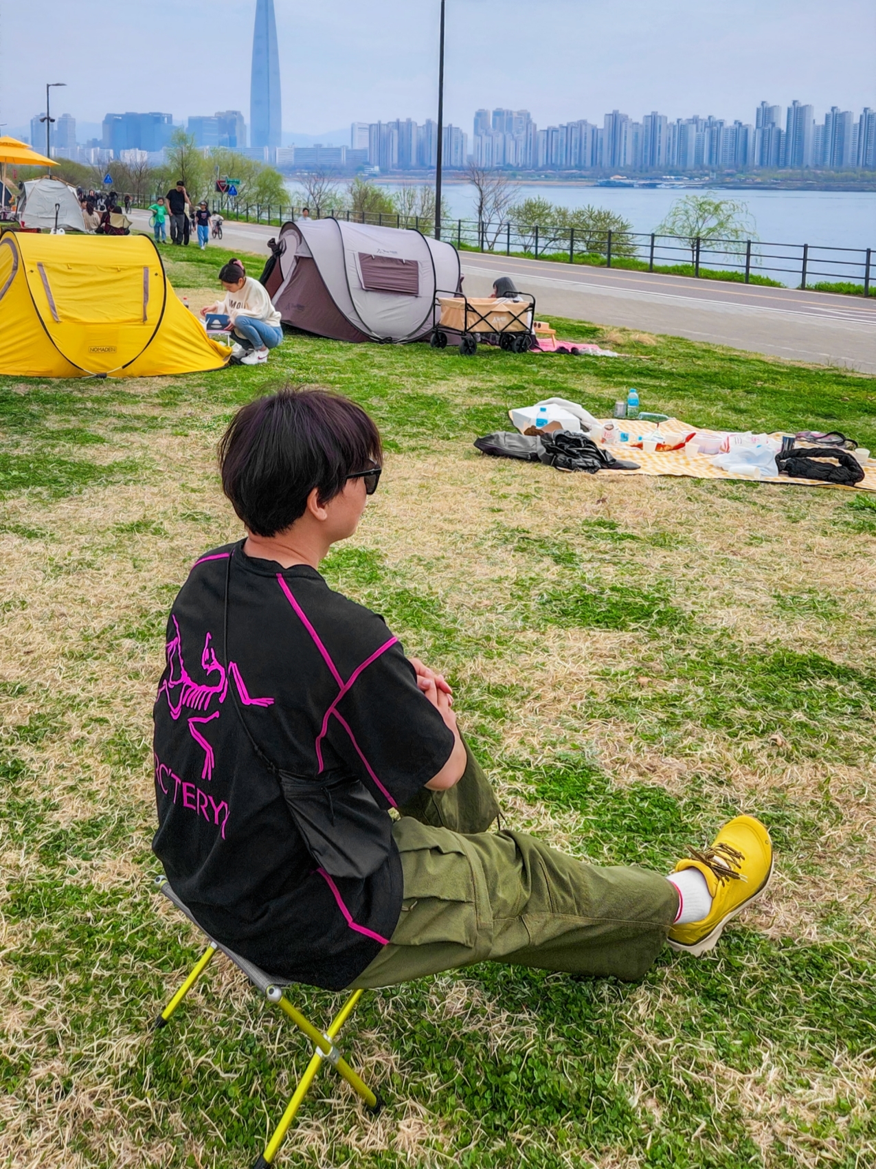 Arc'teryx System A Copal SS Bird T-Shirt Black Ultra Violet, Nike ACG Smith Summit Cargo Pants Rough Green - Asia 착용 스타일