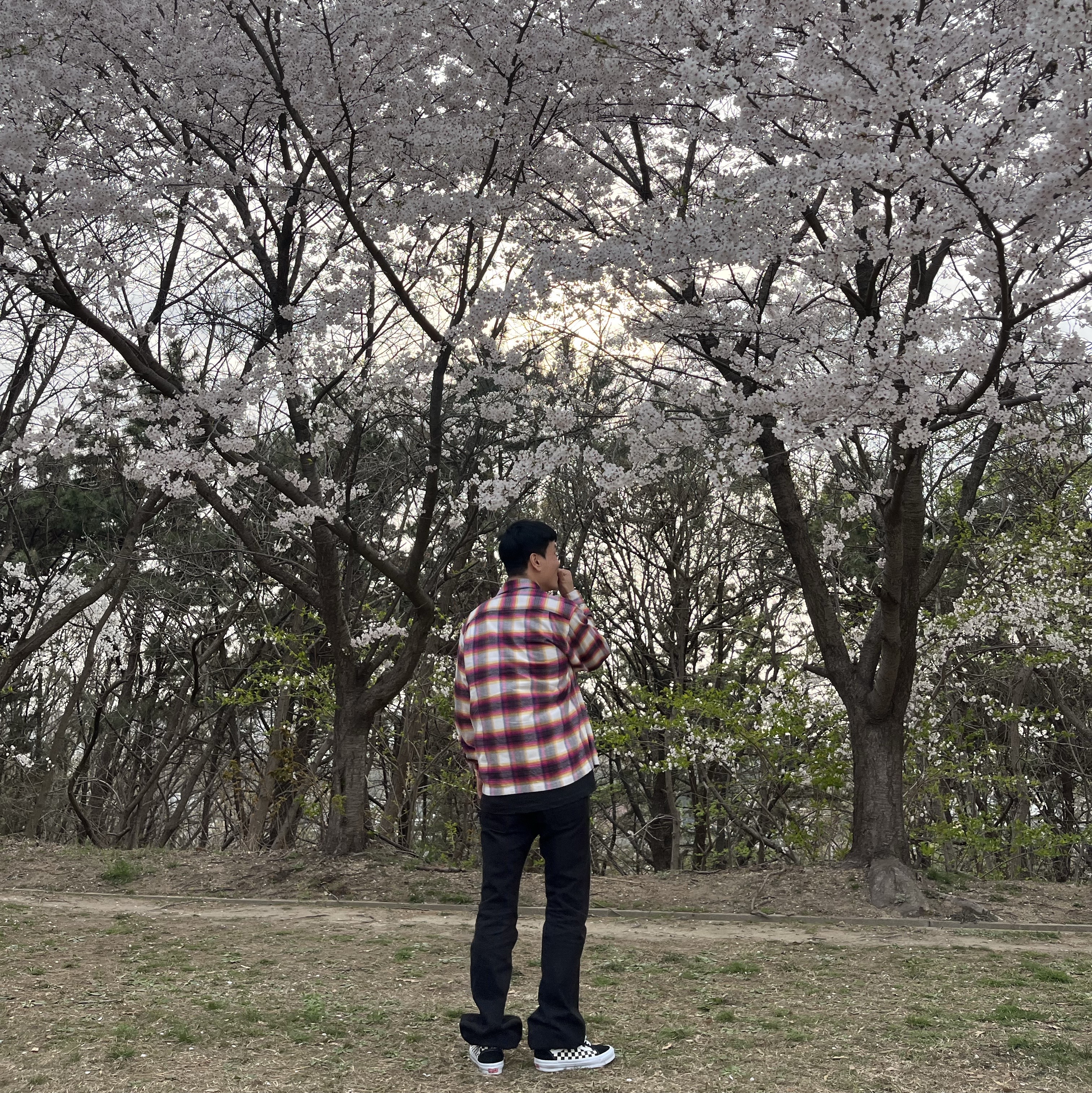 Supreme Box Logo T-Shirt Black - 23FW, Supreme Shadow Plaid Flannel Zip Up Shirt White - 24SS 착용 스타일 - 3
