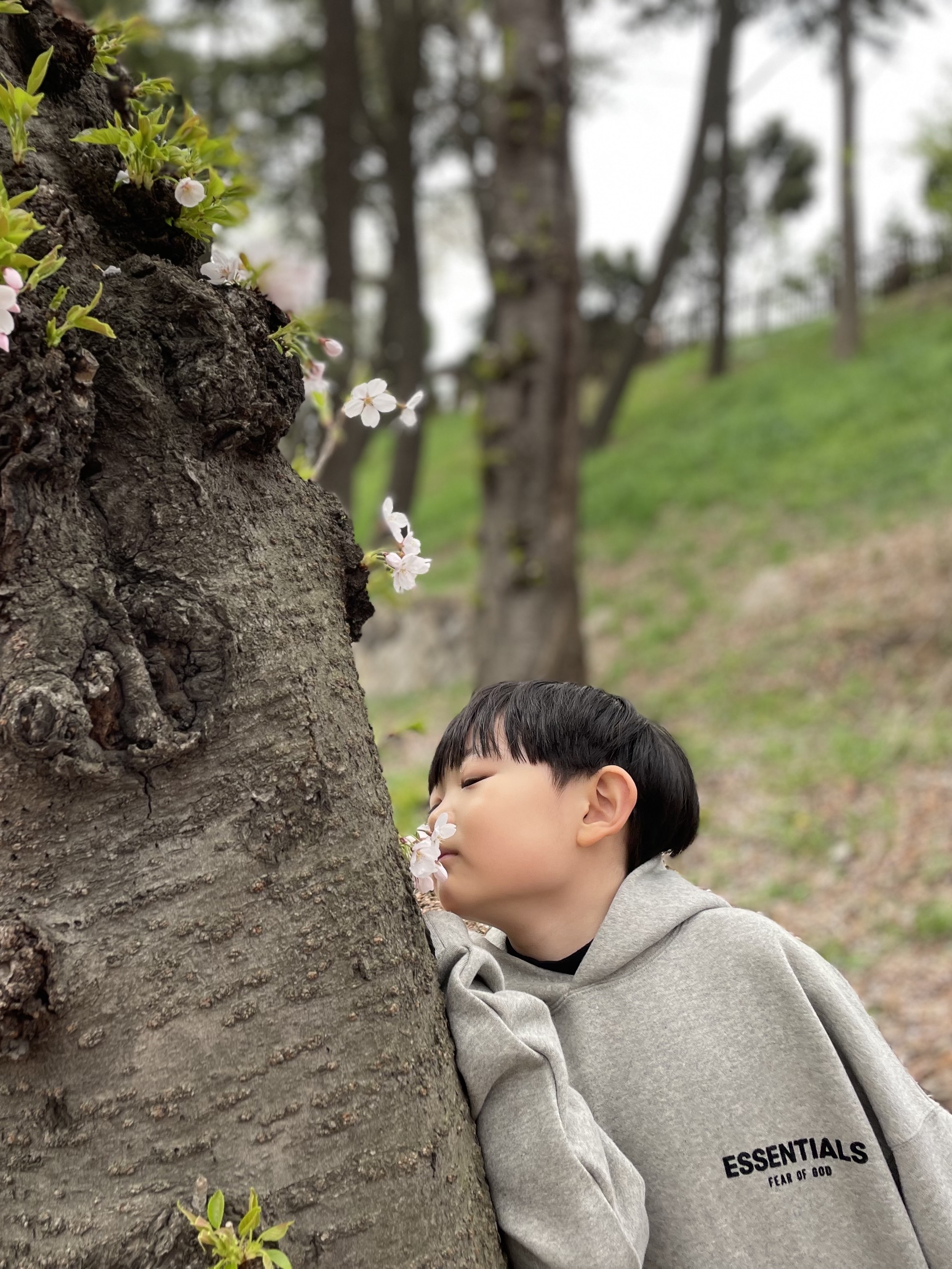 (Kids) Essentials The Core Collection Hoodie Dark Oatmeal, (Kids) Essentialss Sweatpants Off Black - 23SS 착용 스타일 - 3