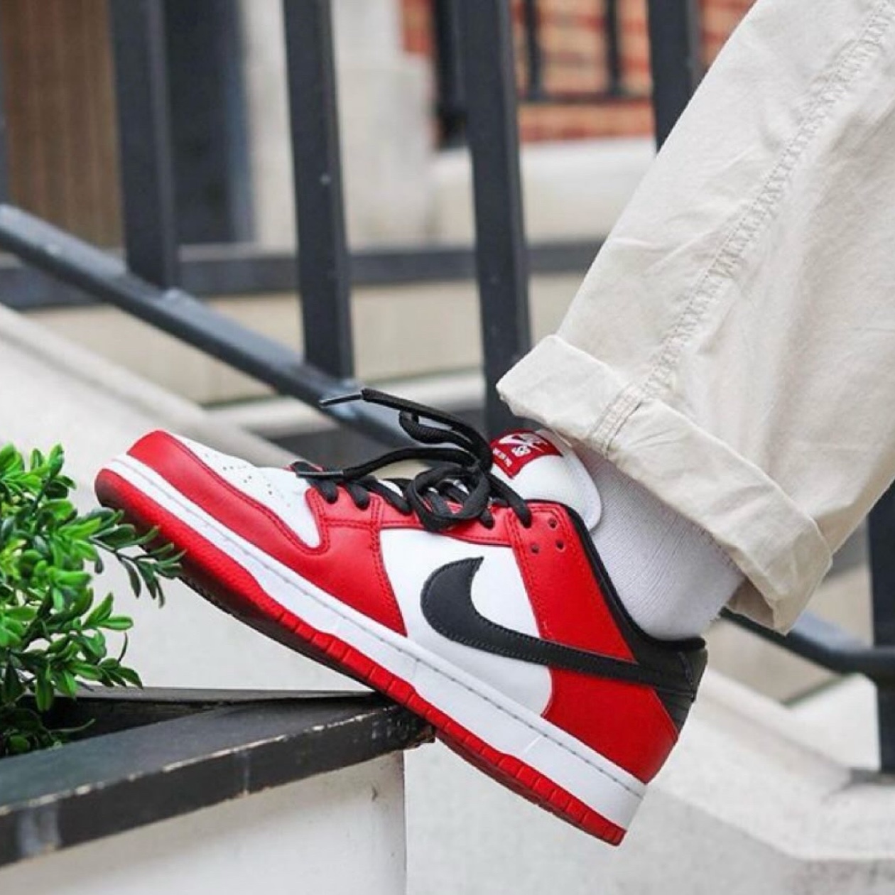 Nike SB Dunk Low Pro Chicago 착용 스타일 - 5