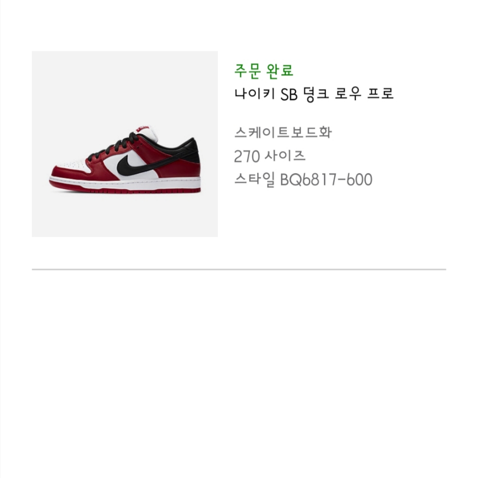 Nike SB Dunk Low Pro Chicago 착용 스타일