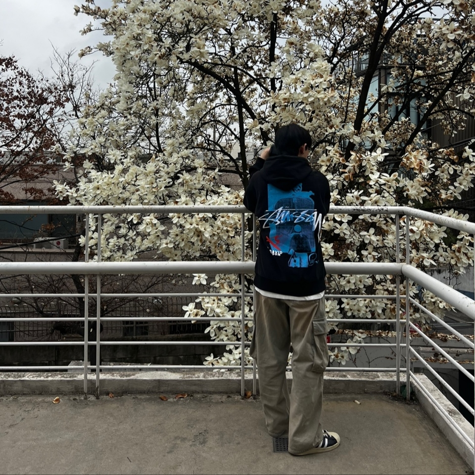 스투시 데이비드 카슨 베스파 후드 블랙 | Stussy | KREAM