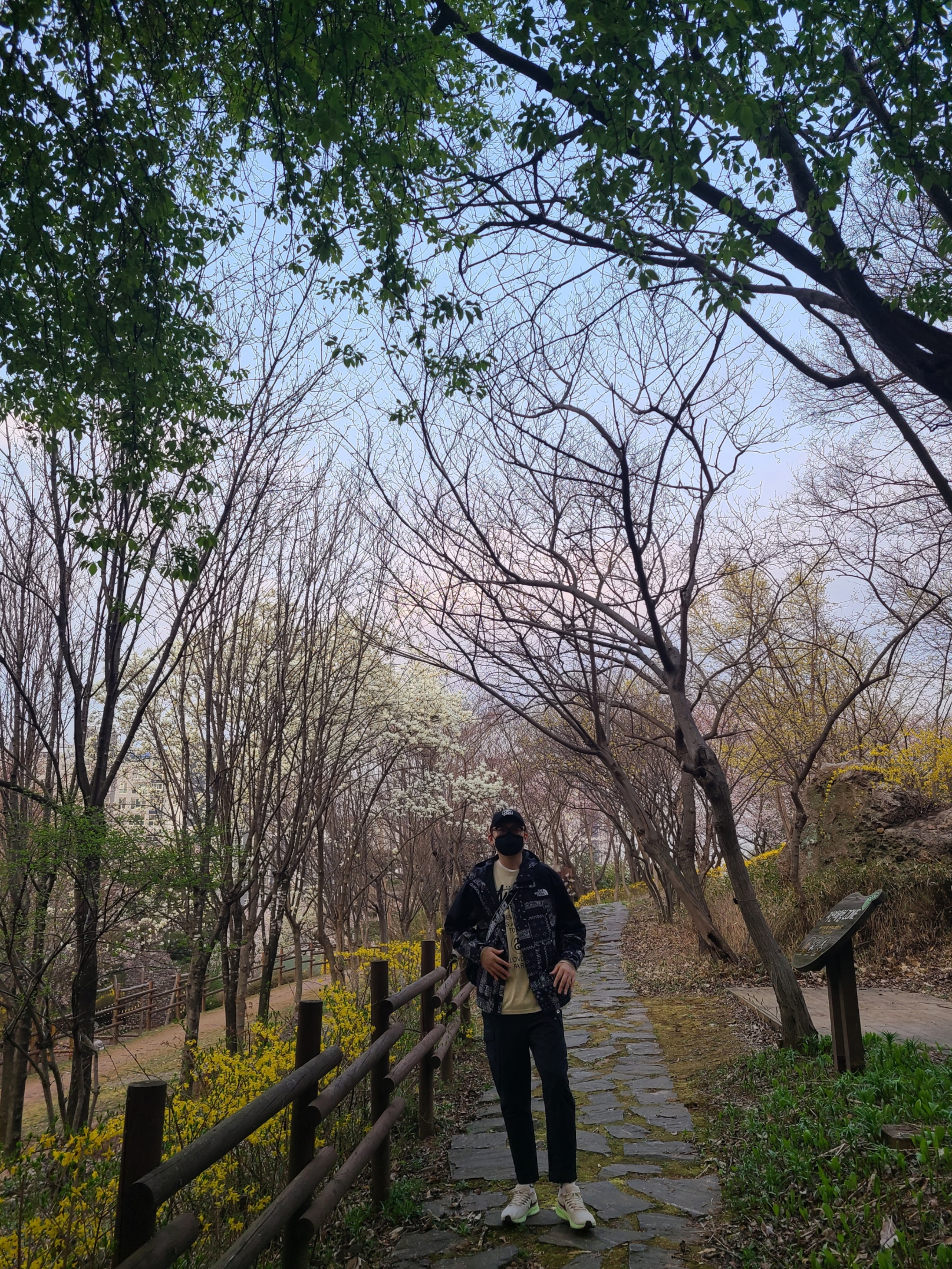 The North Face Novelty GTX Mountain Jacket Black, Nike Air Zoom Pegasus 39 Light Orewood Burn 착용 스타일 - 2