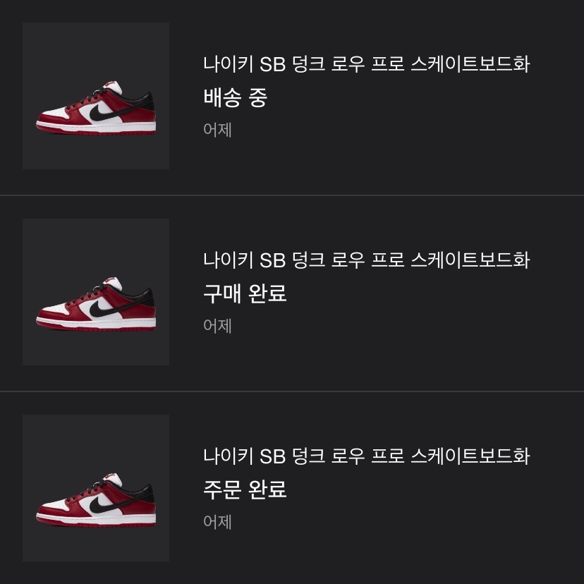 Nike SB Dunk Low Pro Chicago 착용 스타일