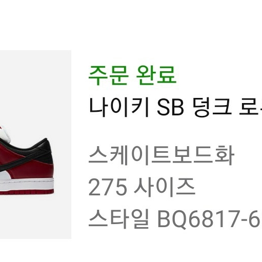 Nike SB Dunk Low Pro Chicago 착용 스타일
