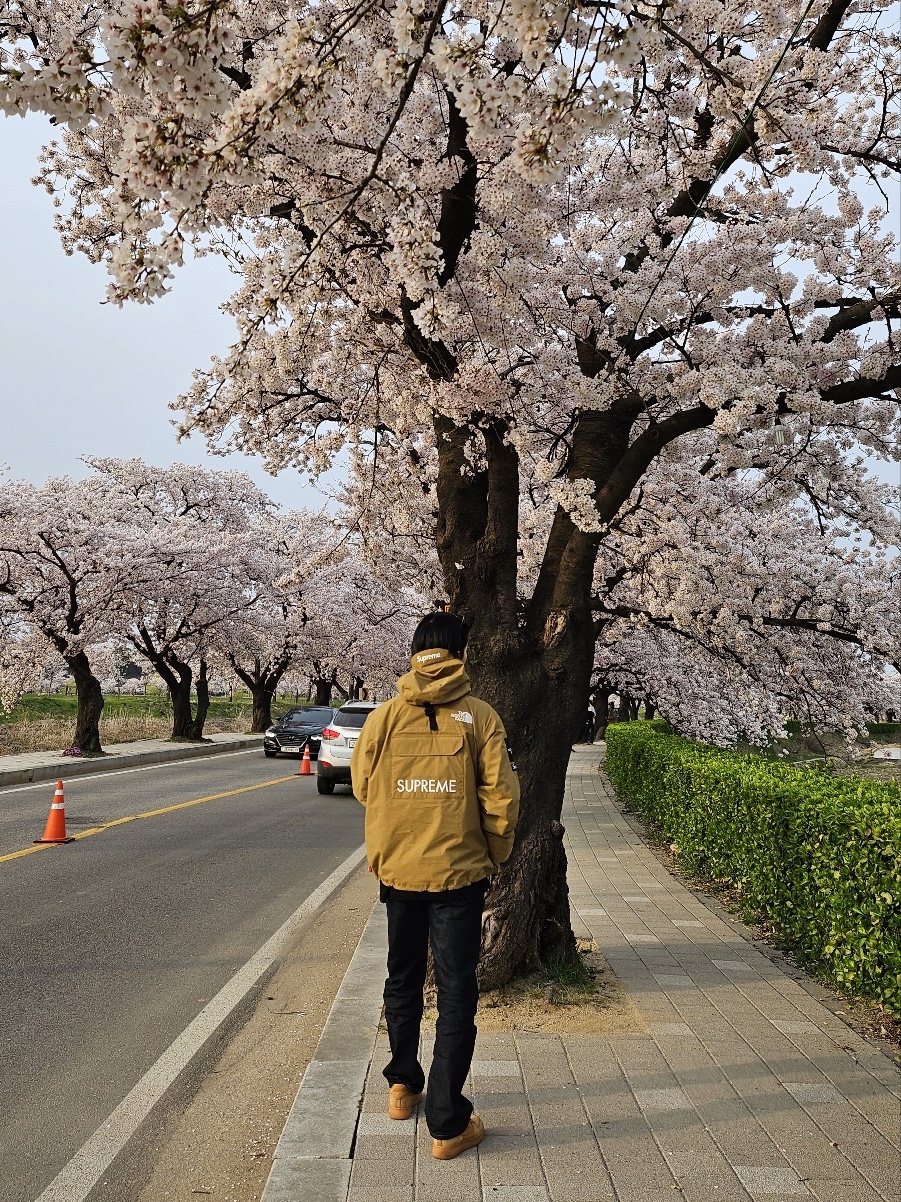Supreme x The North Face Cargo Jacket Gold - 20SS 착용 스타일