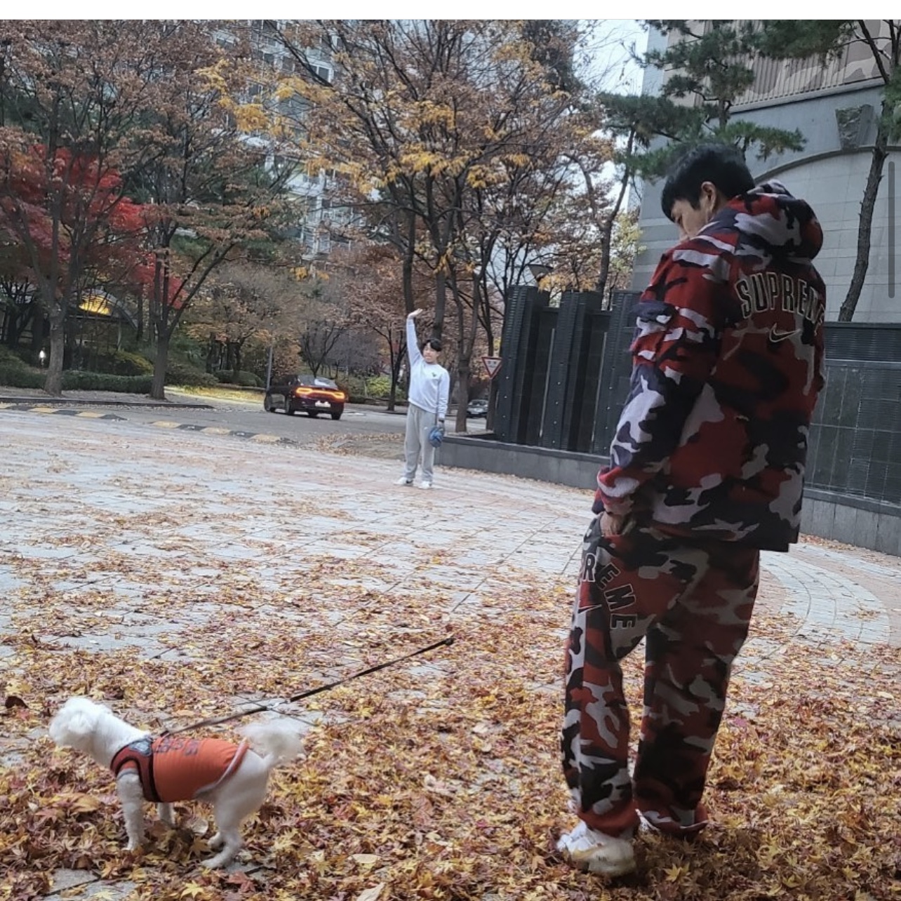 Supreme x Nike Arc Sweatpants Red Camo - 22SS, Supreme x Nike Arc Corduroy Hooded Jacket Red Camo - 22SS 착용 스타일
