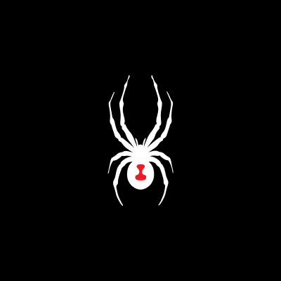 스파이더(Spyder)