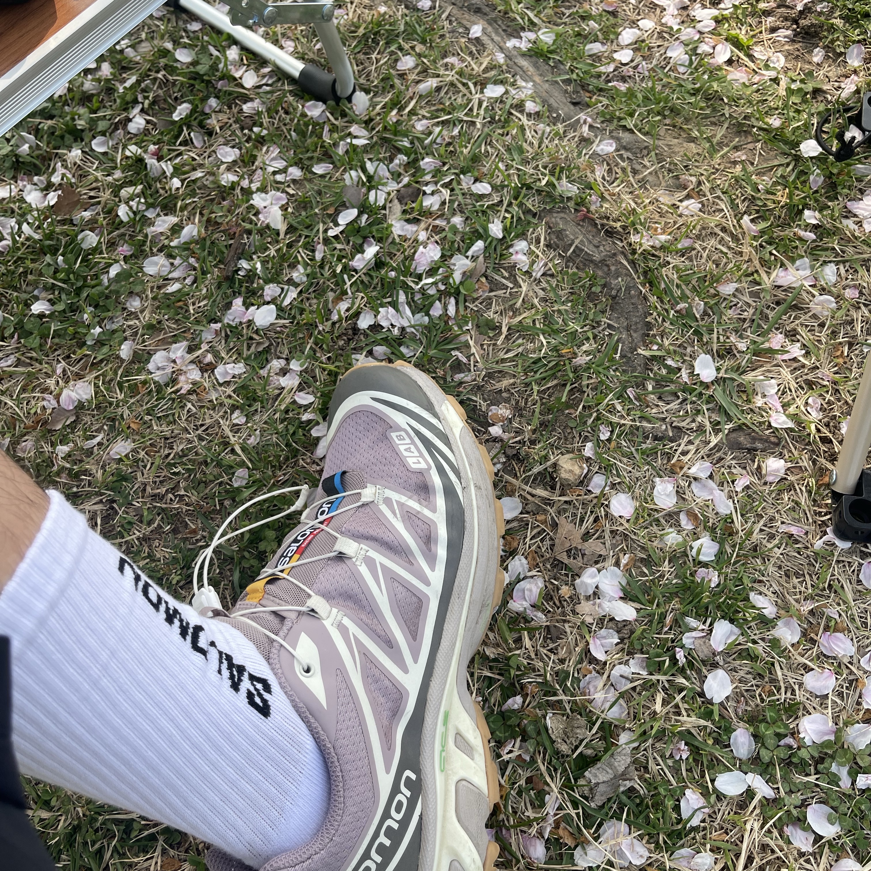 Salomon XT-6 Quail Plum Kitten 착용 스타일 - 2