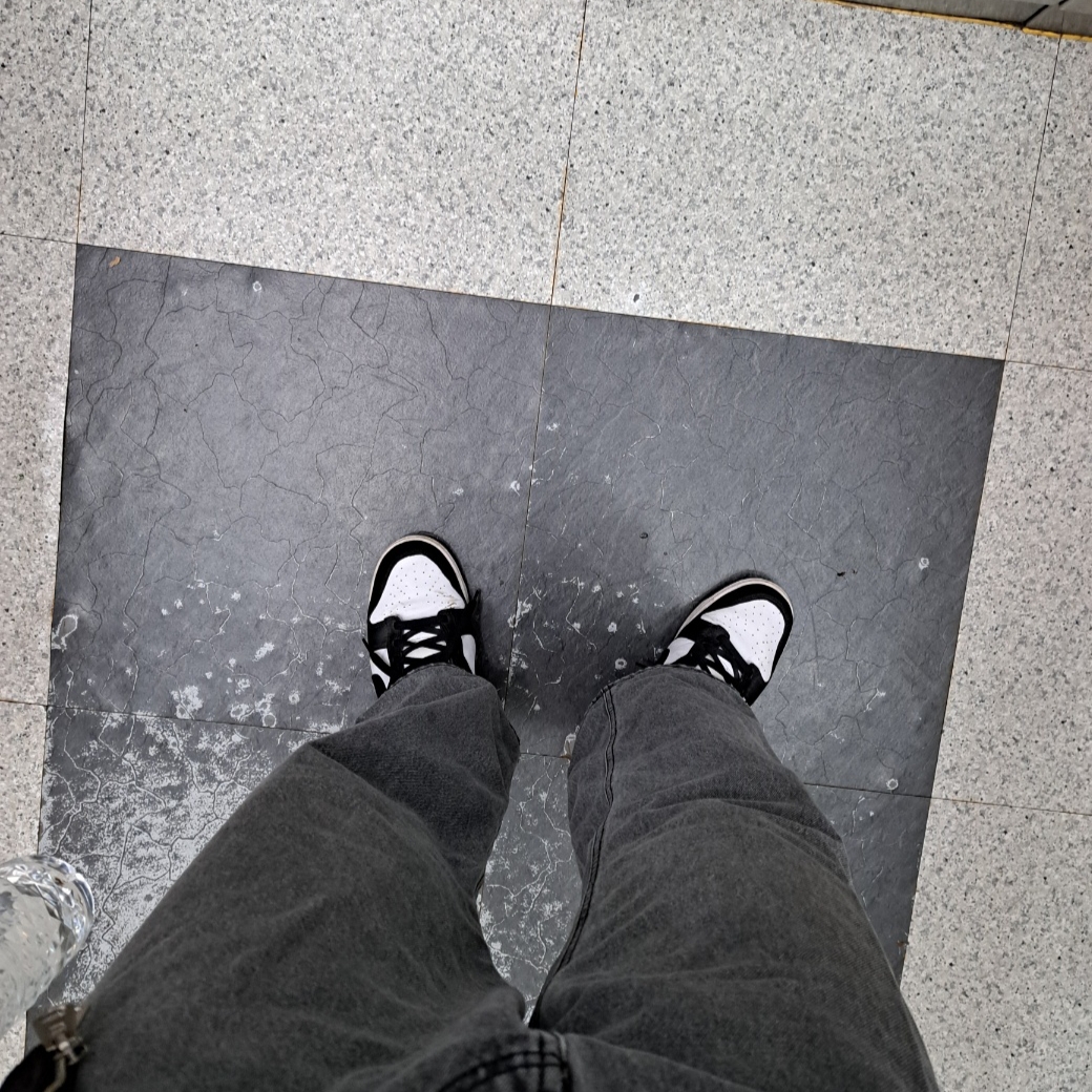 Nike Dunk Low Retro Black 착용 스타일