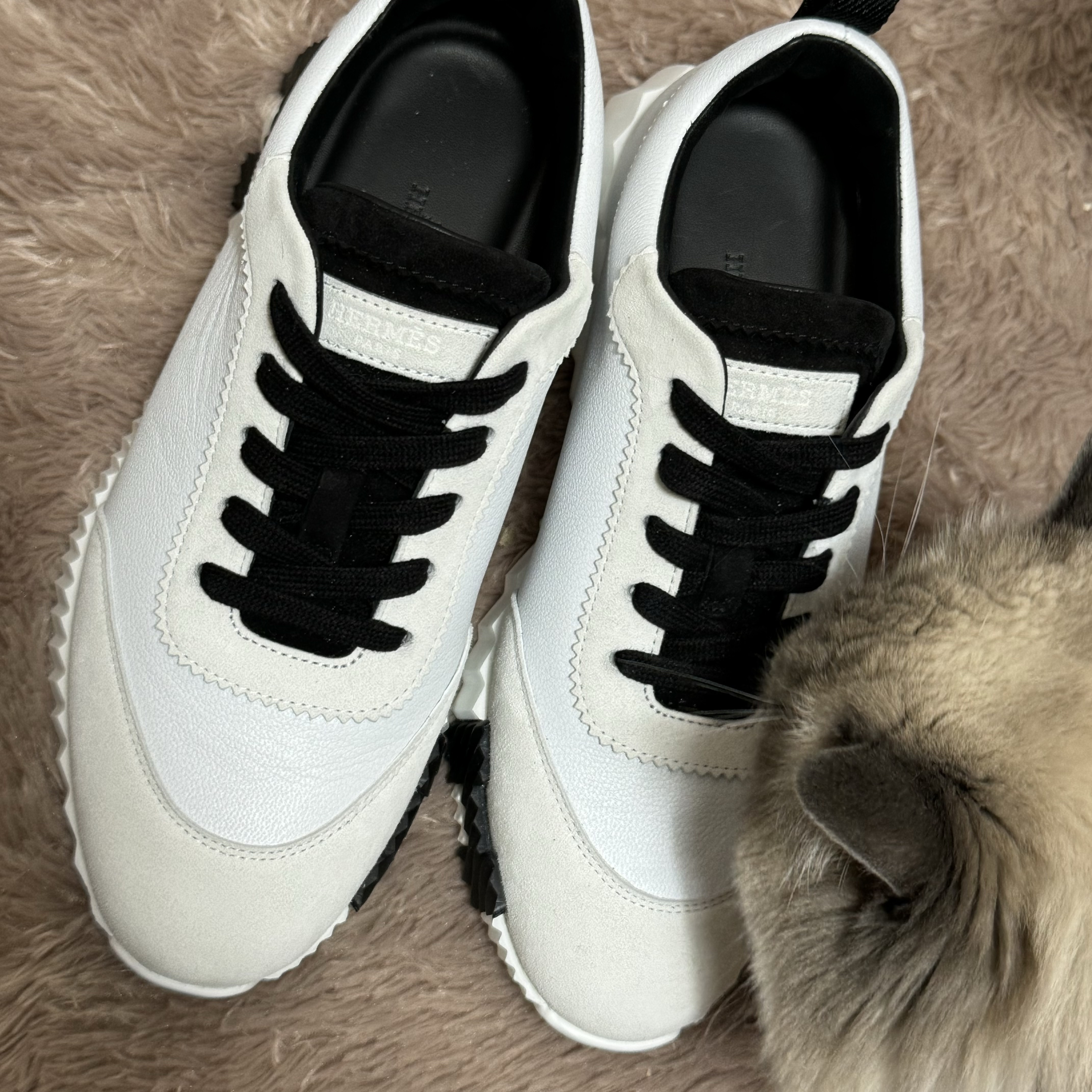 (W) Hermes Bouncing Sneakers Sport Suede Goatskin & Blanc Noir 착용 스타일 - 2