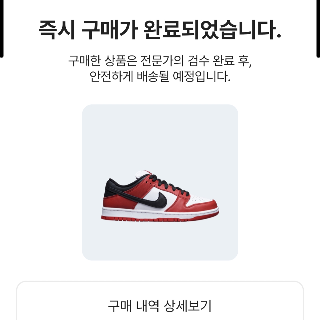 Nike SB Dunk Low Pro Chicago 착용 스타일