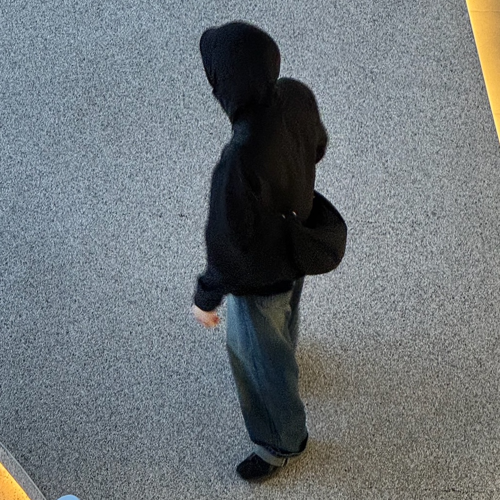 Arc'teryx Atom LT Hoody Black 착용 스타일