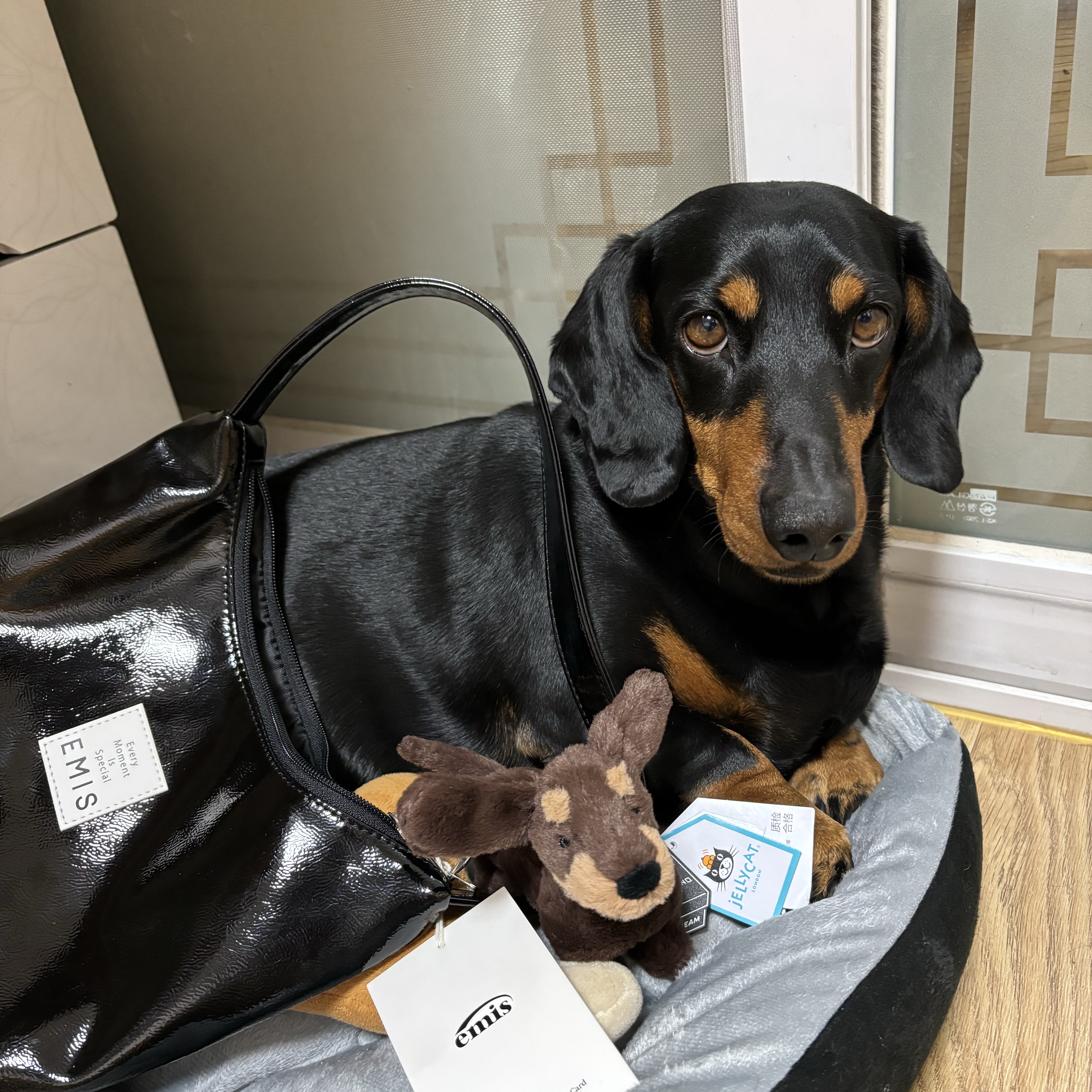 Jellycat Otto Sausage Dog Bag Charm Brown, Emis New Enamel Hobo Bag Black 착용 스타일