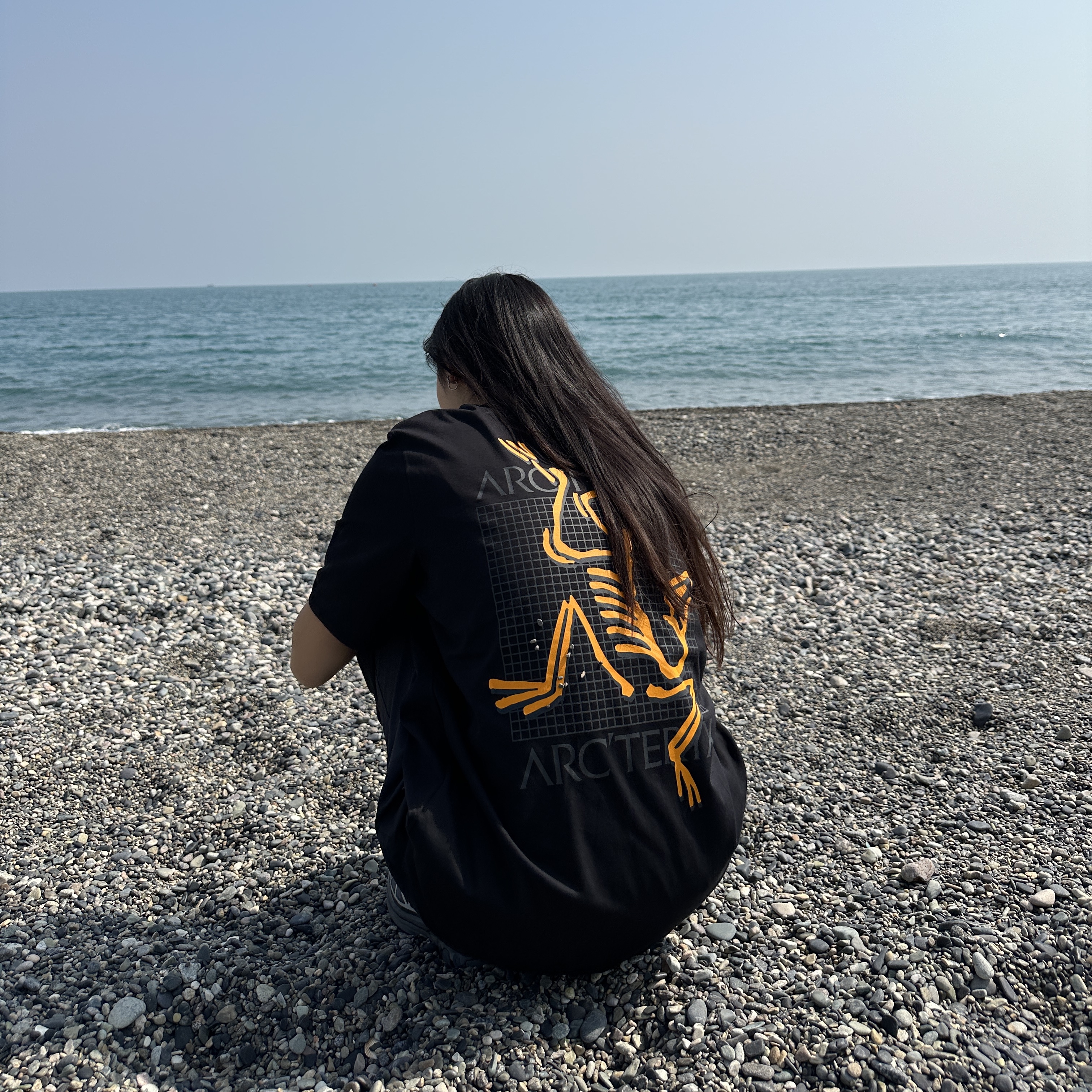 Arc'teryx Arc'Multi Bird Logo SS T-Shirt Black 착용 스타일 - 1