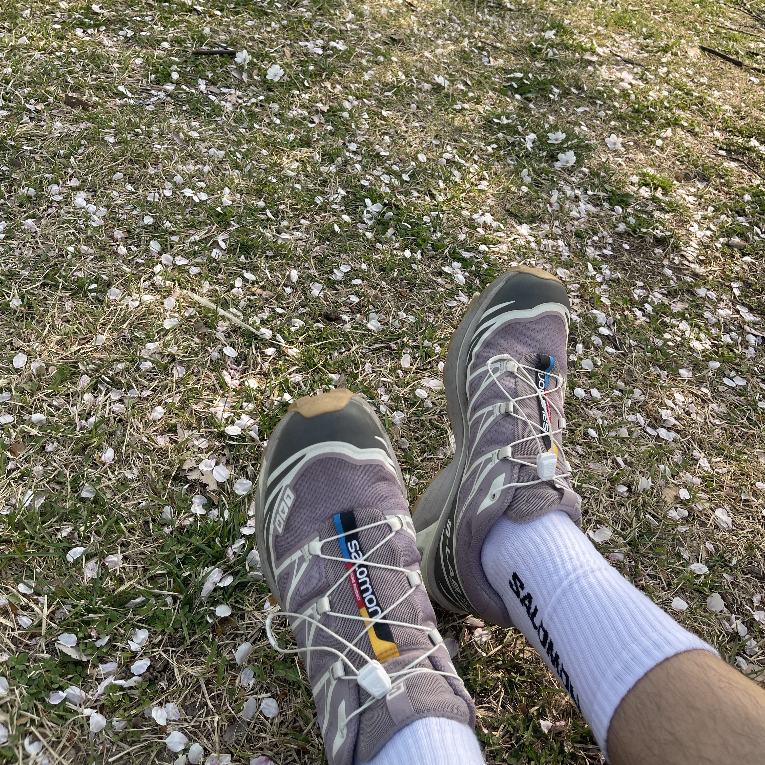 Salomon XT-6 Quail Plum Kitten 착용 스타일 - 1