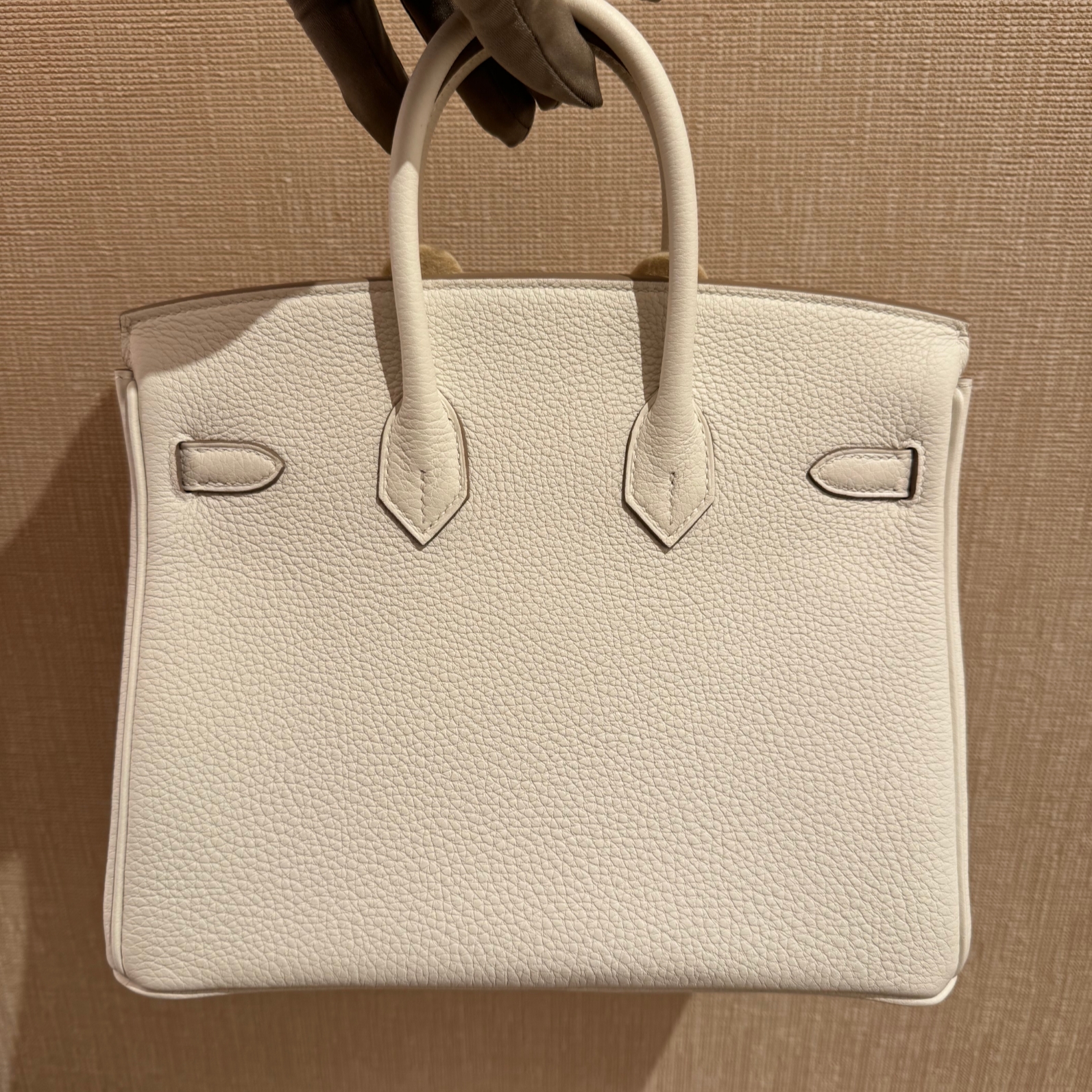 Hermes Birkin 25 Bag Togo & Gold Mushroom 착용 스타일 - 2