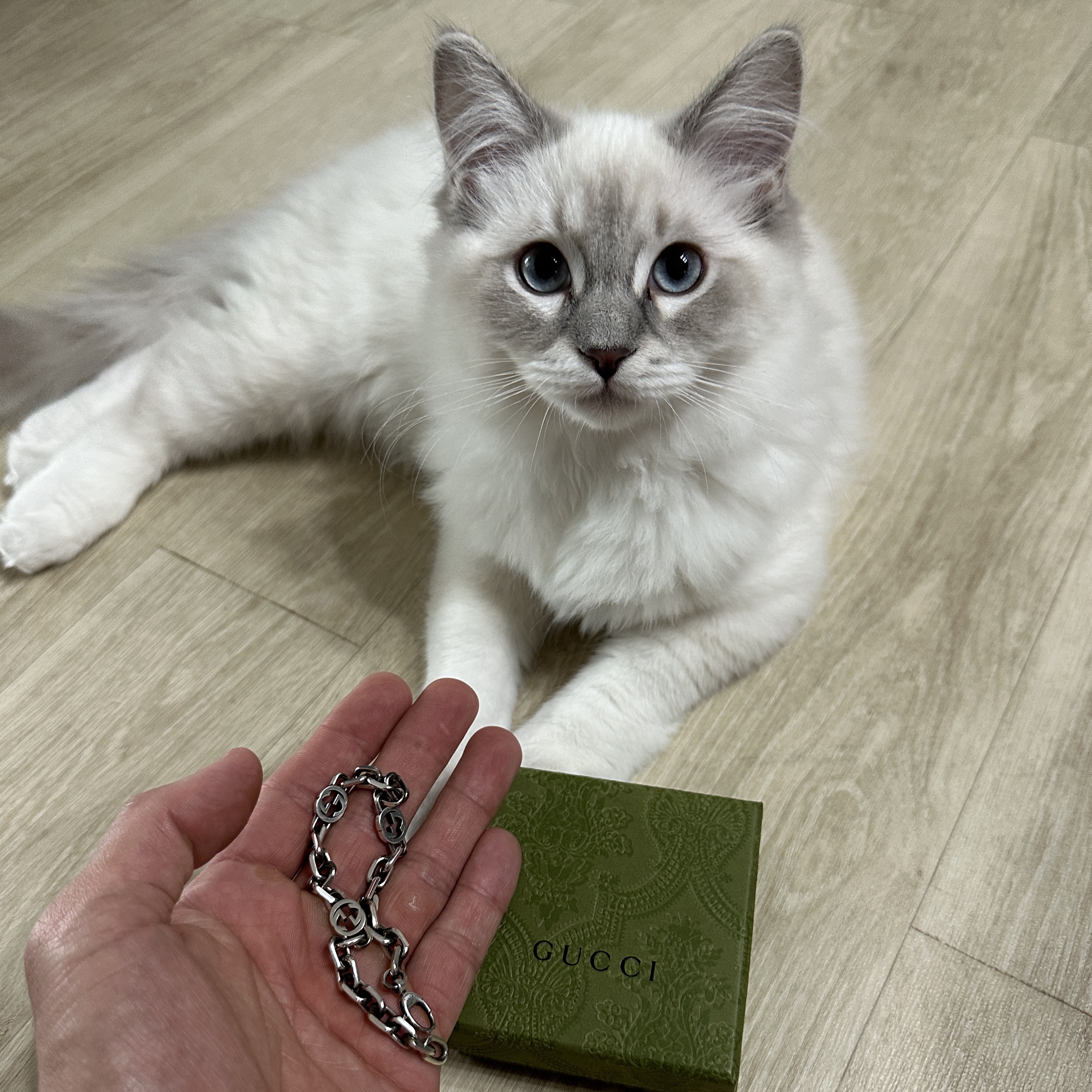 Gucci Interlocking G Bracelet Silver 착용 스타일