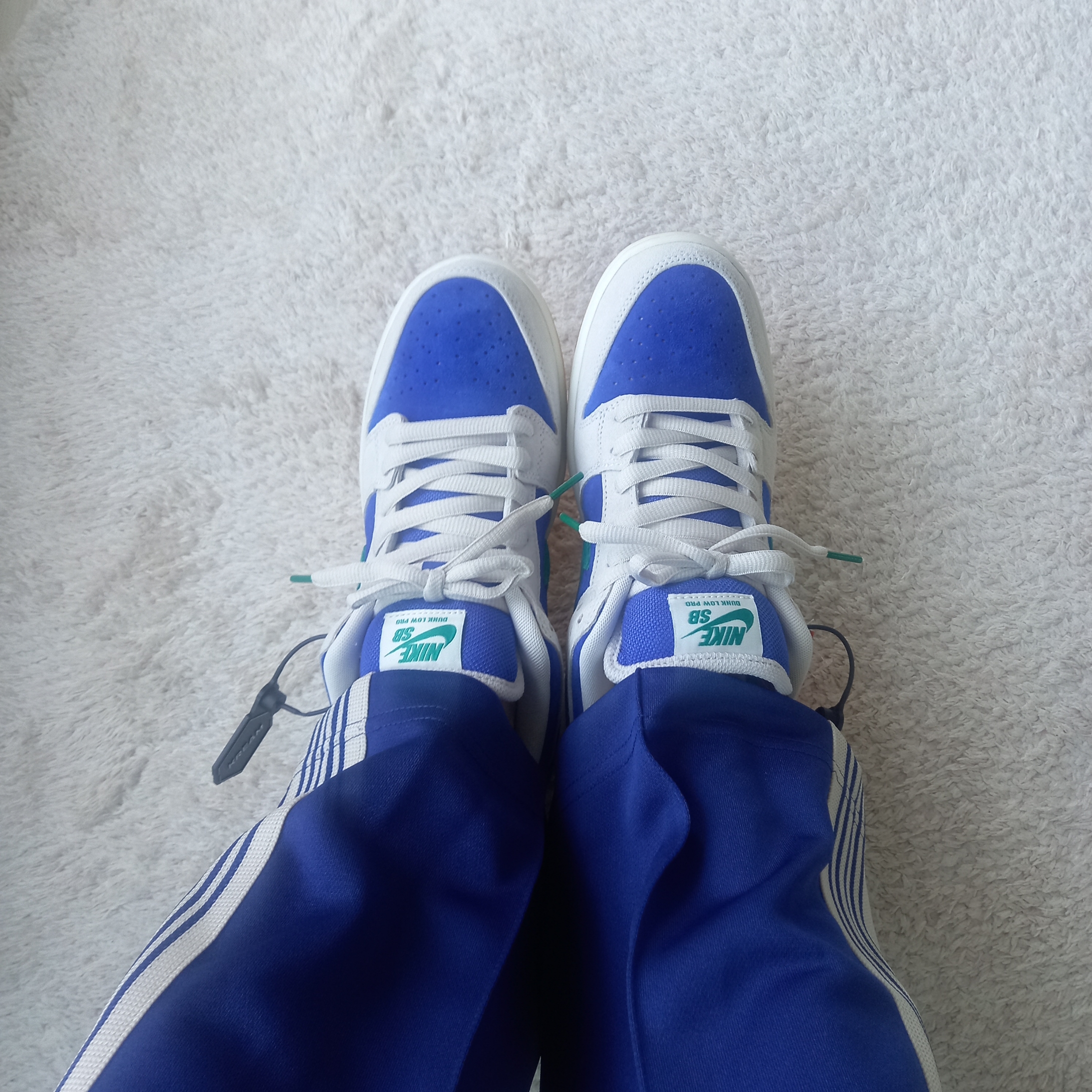 Nike SB Dunk Low Pro Phantom and Hyper Royal, Needles Narrow Track Pants Poly Smooth Royal 착용 스타일 - 7