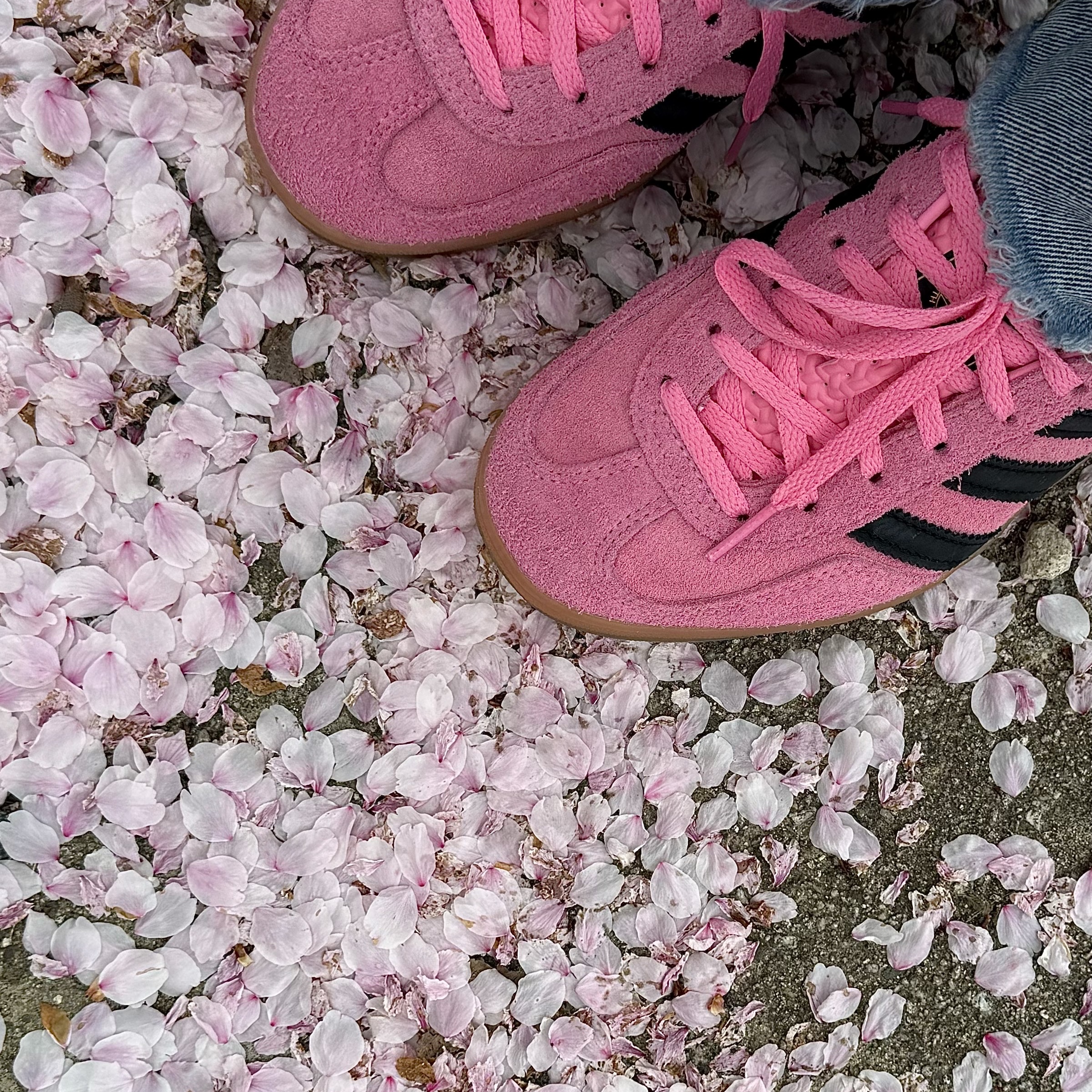 (W) Adidas Gazelle Indoor Bliss Pink 착용 스타일