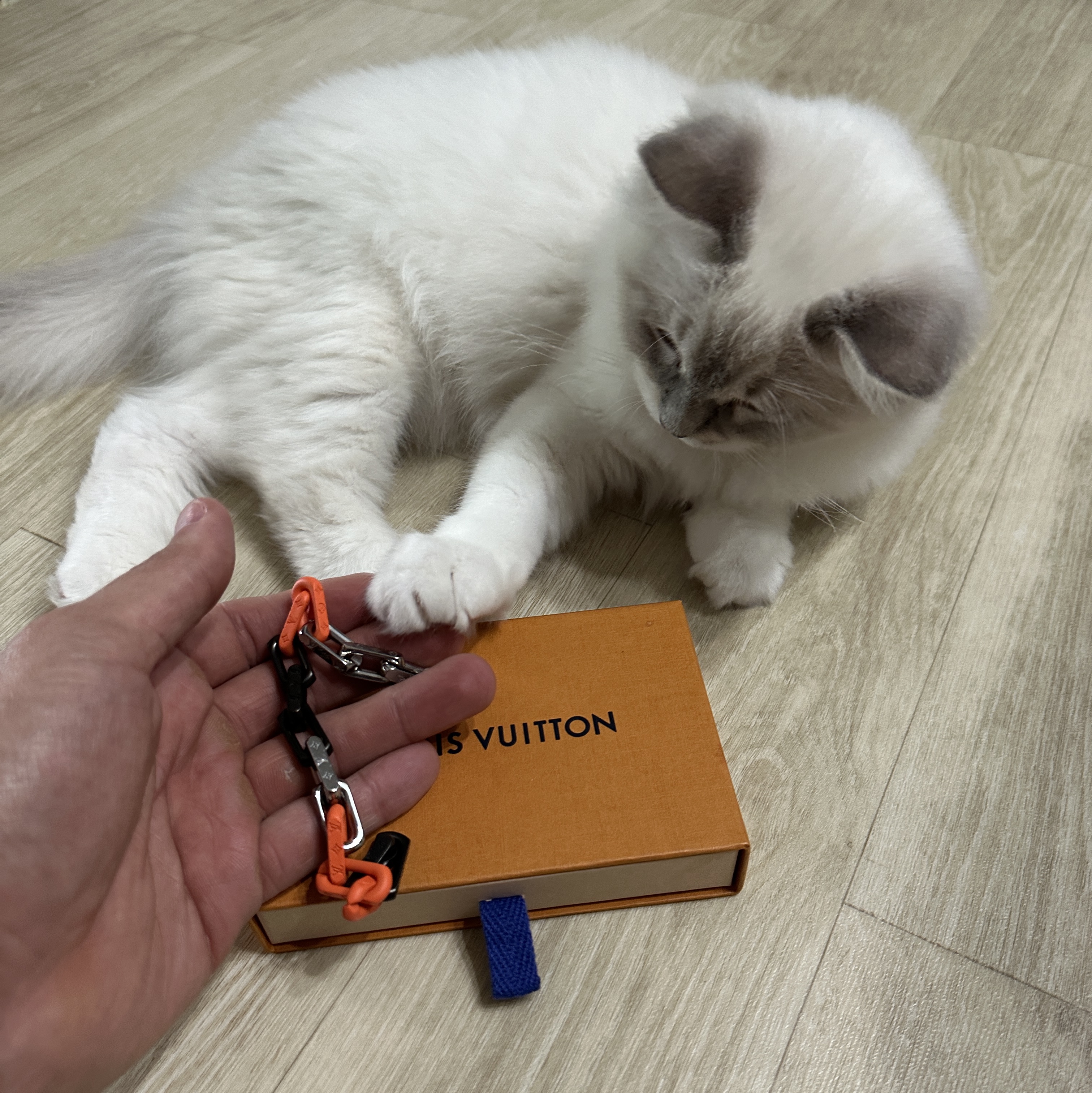 Louis Vuitton Monogram Chain Bracelet Silver Orange Black 착용 스타일
