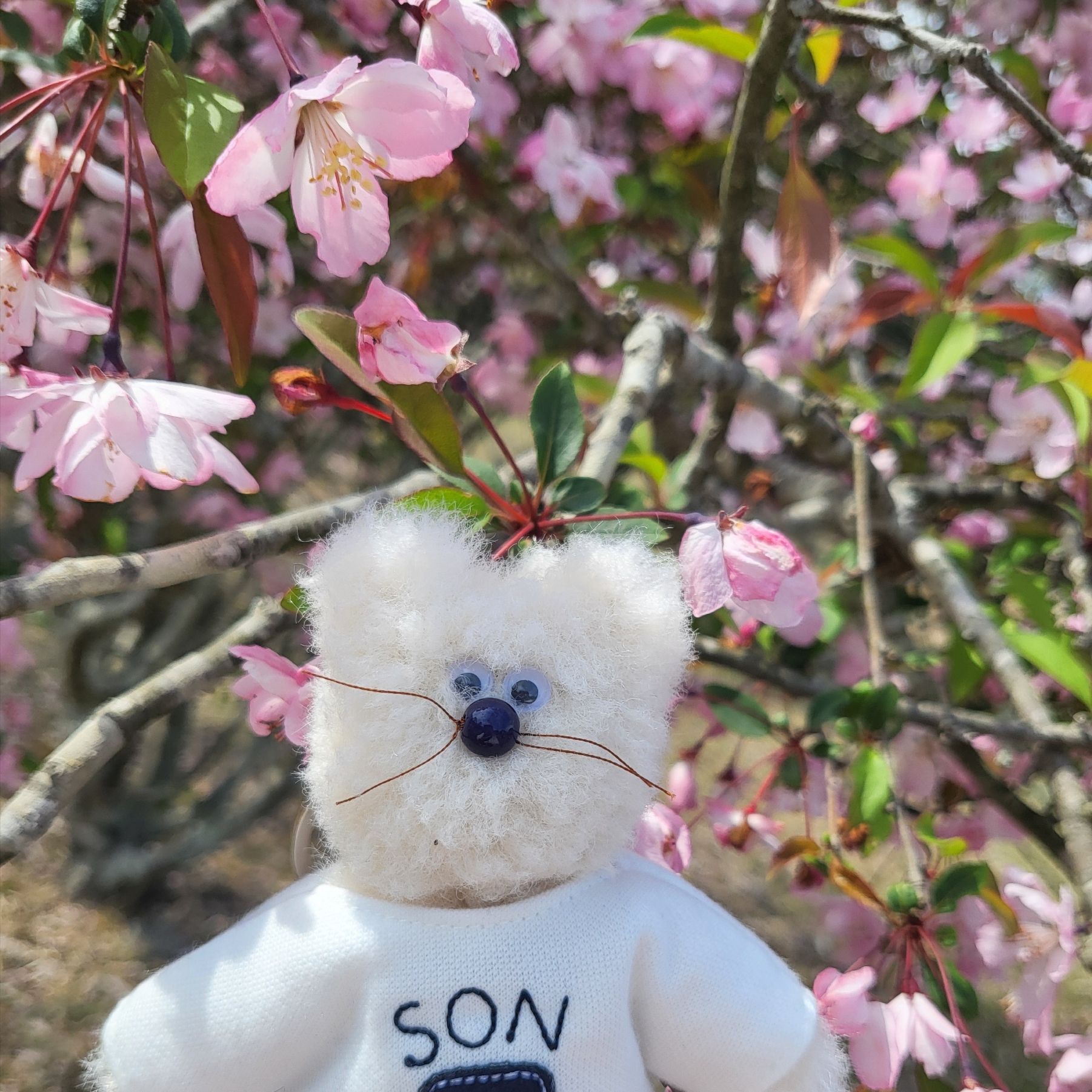 [예약 배송] NOS7 x Monamhee SON.hee Cream 착용 스타일 - 1