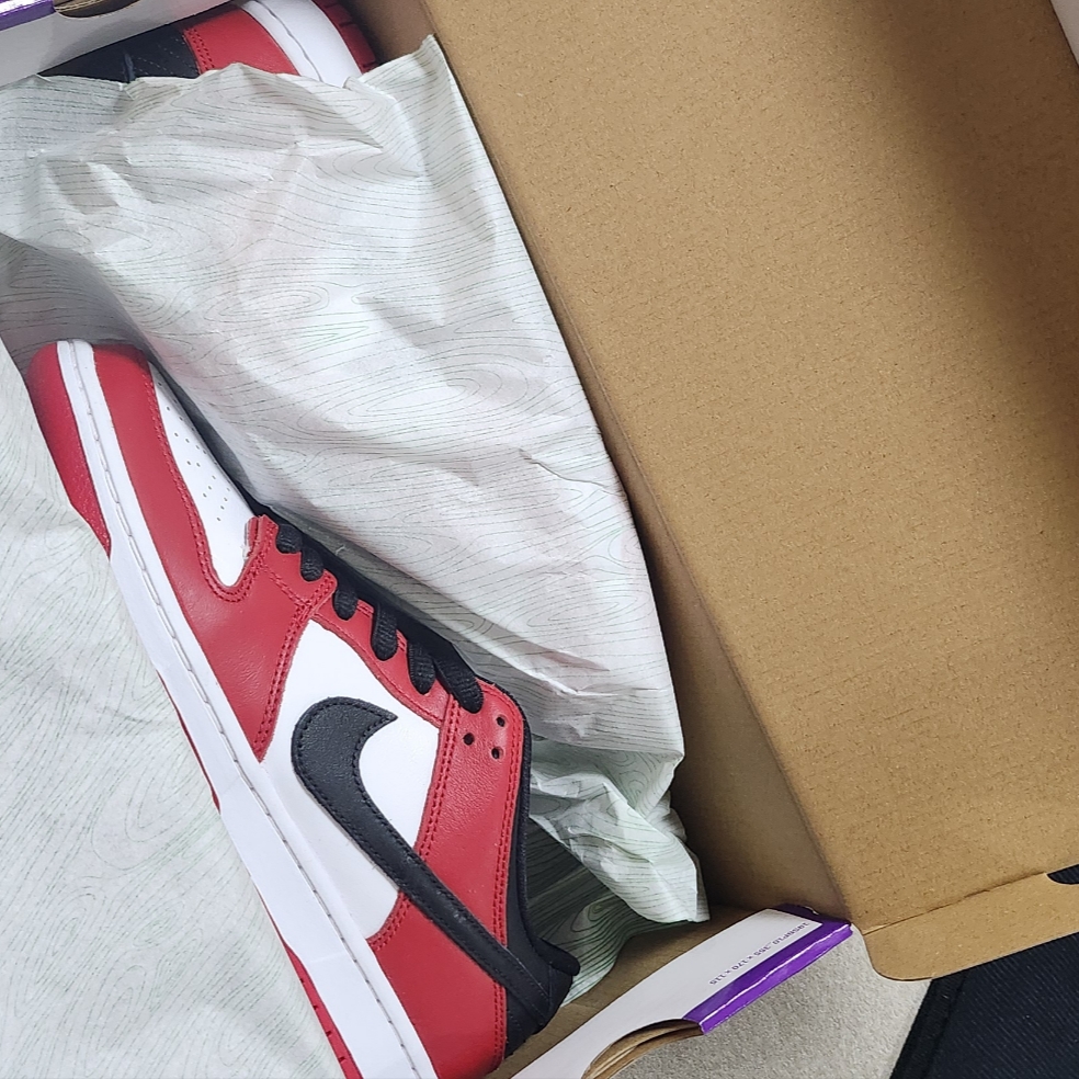 Nike SB Dunk Low Pro Chicago 착용 스타일 - 2