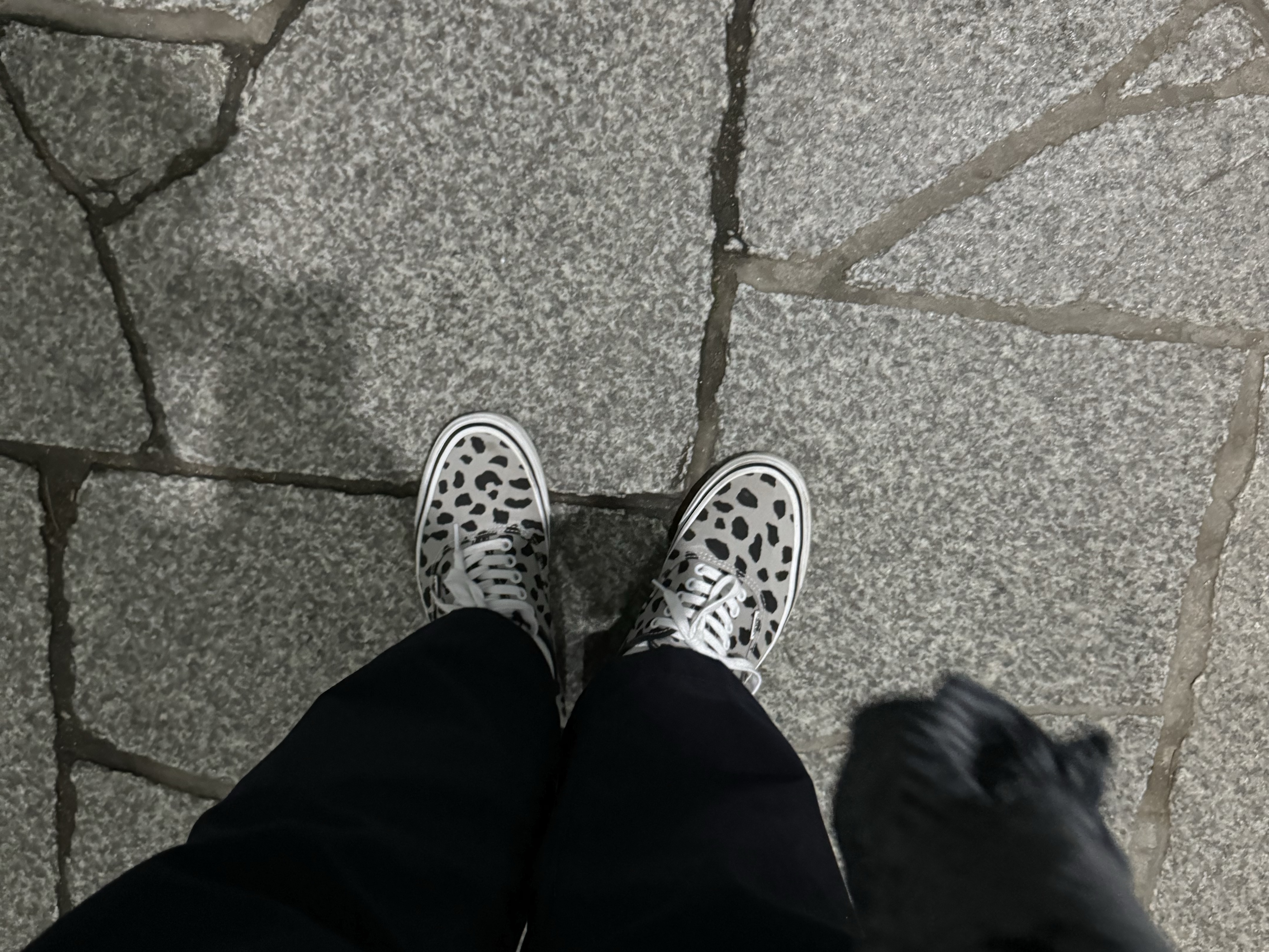 Converse x Wacko Maria Allstar OX Light Beige 착용 스타일