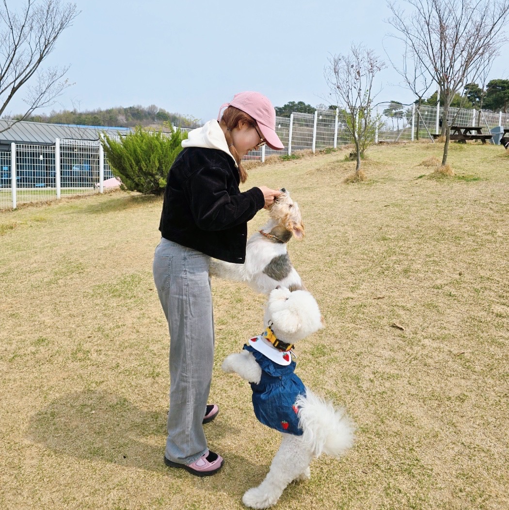 jjeongda112님의 스타일 - 3