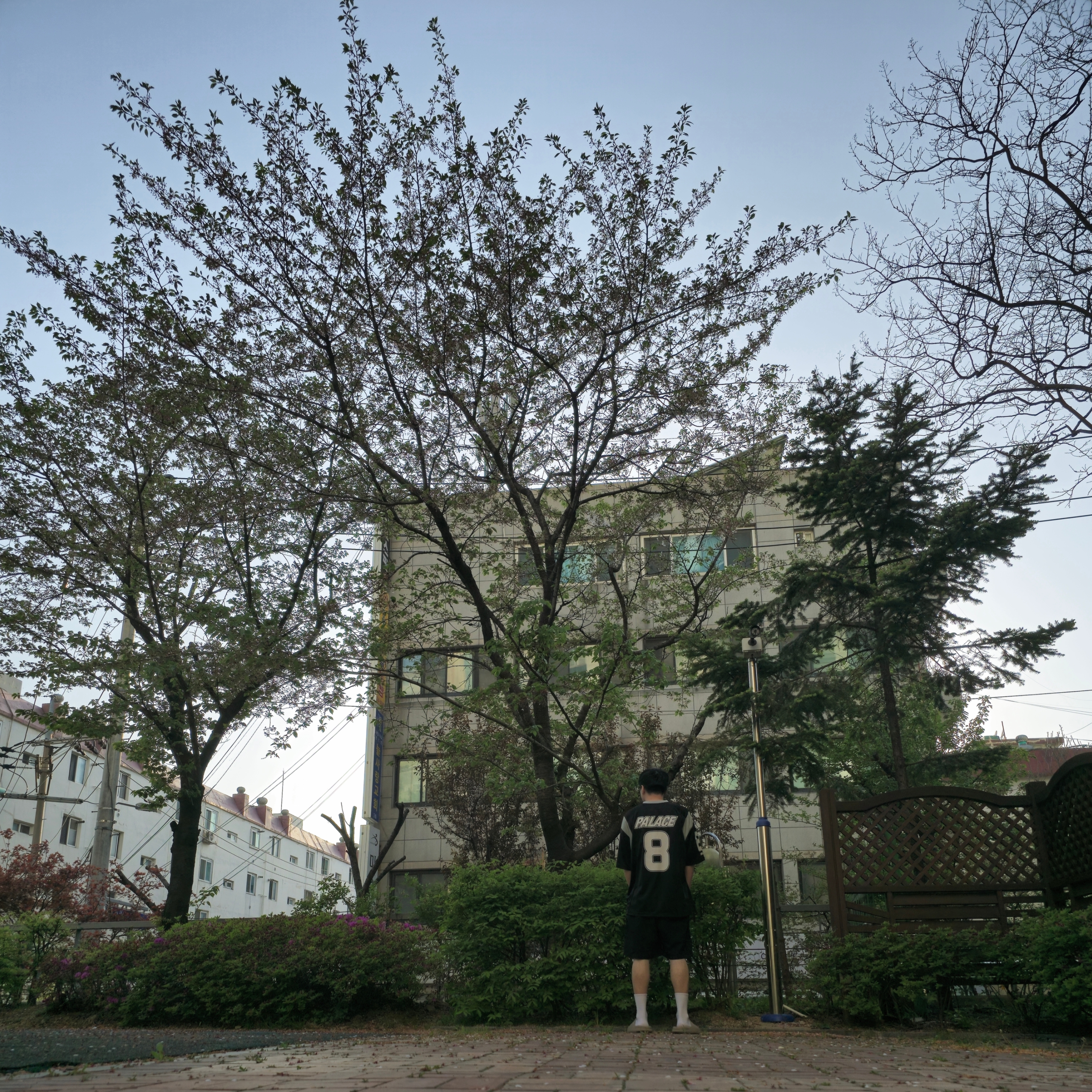 Palace Mesh Team Jersey Black - 24SS 착용 스타일 - 2