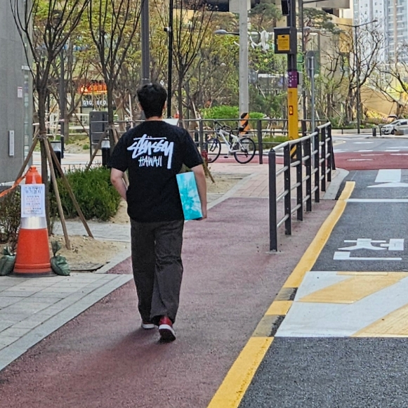 Jordan 1 Retro Low OG Black Toe 착용 스타일