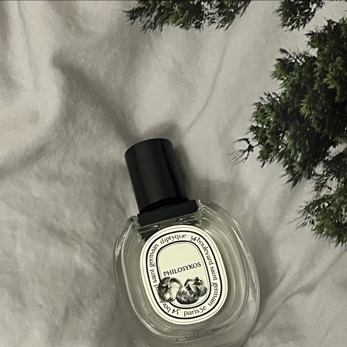 Diptyque Philosykos Eau De Toilette 50ml 착용 스타일
