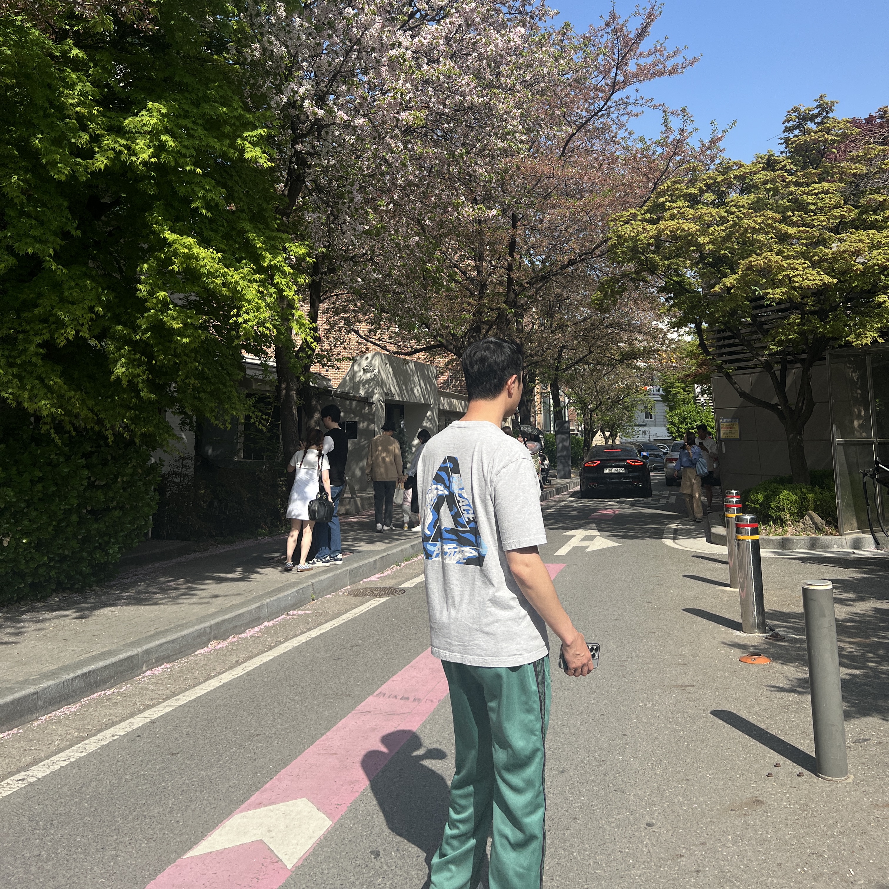 Needles Straight Track Pants Poly Smooth Emerald, Palace Jungle Camo Tri-Ferg T-Shirt Grey Marl - 23SS 착용 스타일