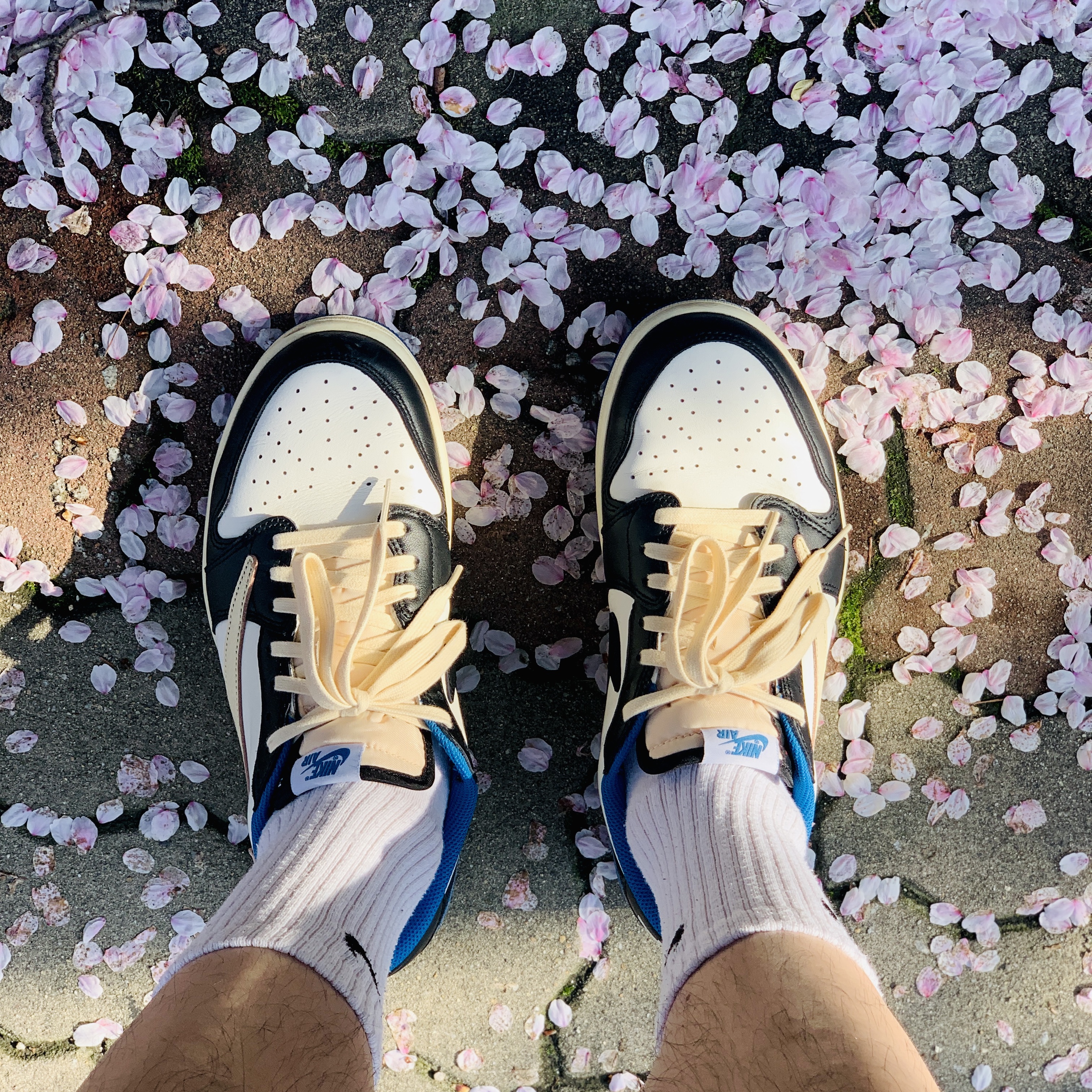Jordan 1 x Travis Scott x Fragment Retro Low OG SP Military Blue 착용 스타일
