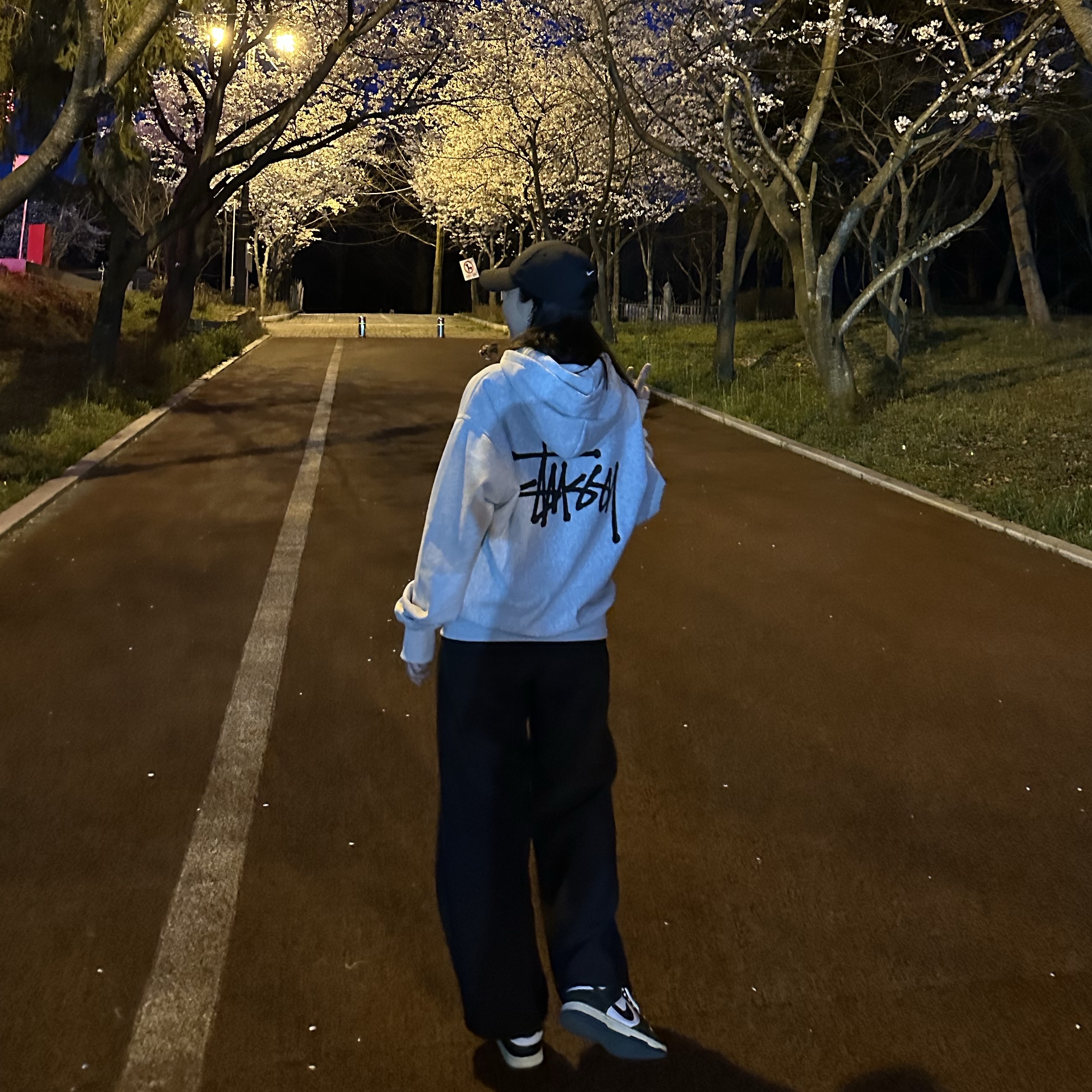 Stussy Basic Stussy Zip Hoodie Ash Heather 2023, (W) Nike Dunk Low Vintage Green 착용 스타일