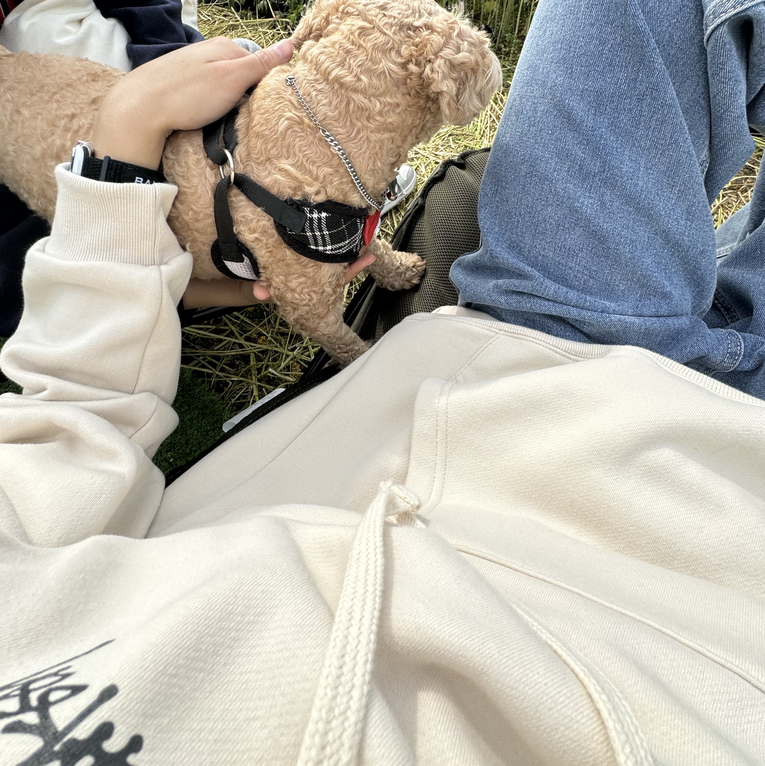 Stussy Basic Stussy Hoodie Khaki 2023 착용 스타일