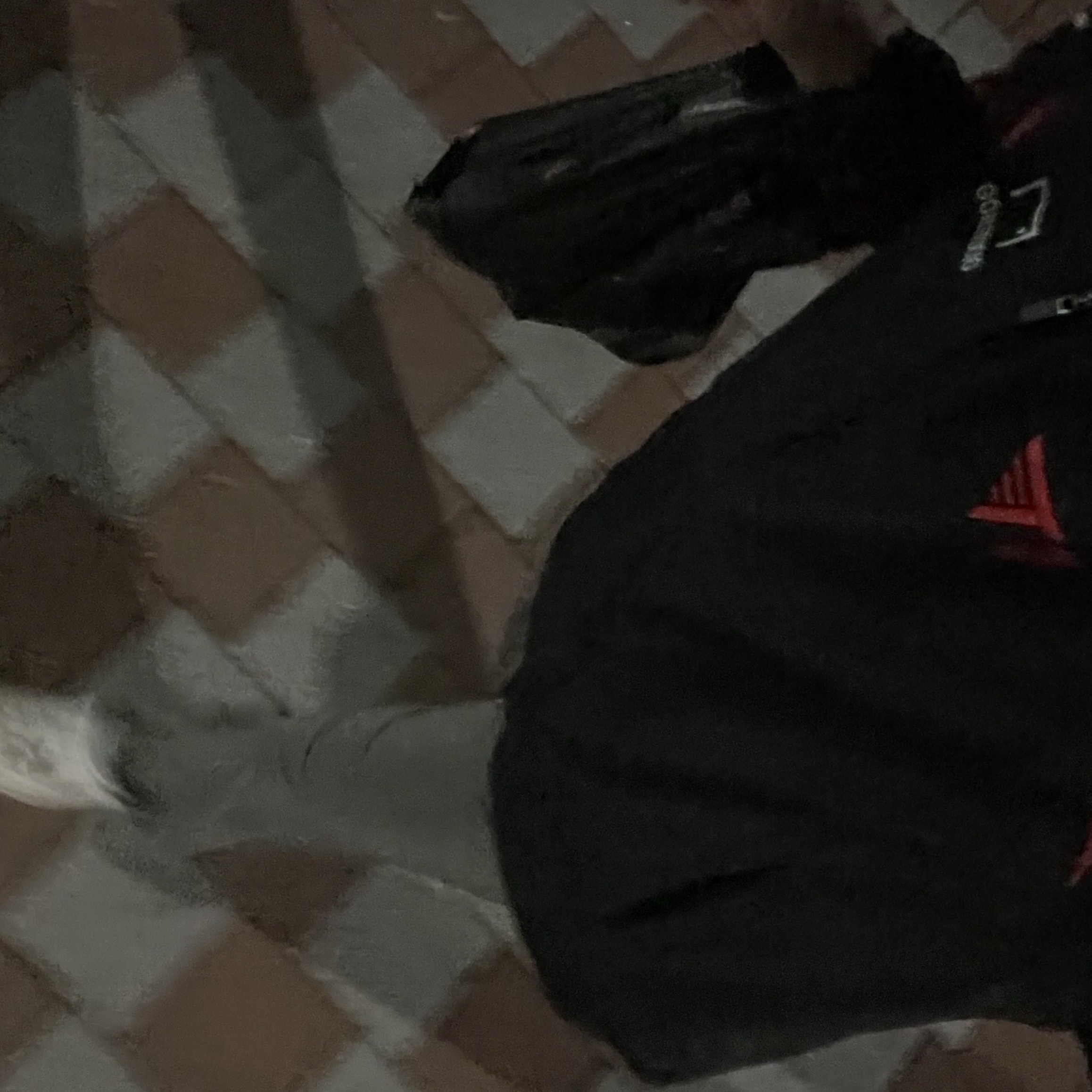 T1 2024 Spring LCK Uniform Jacket Black (Non Marking Ver.) 착용 스타일
