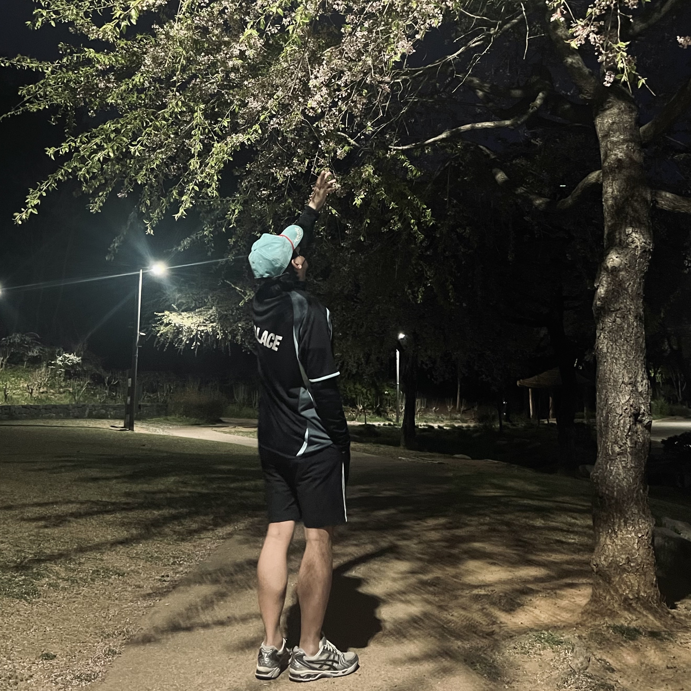 Palace Massimo Forza Shorts Black - 23SS, Palace Pro Jersey Black - 23FW 착용 스타일 - 1