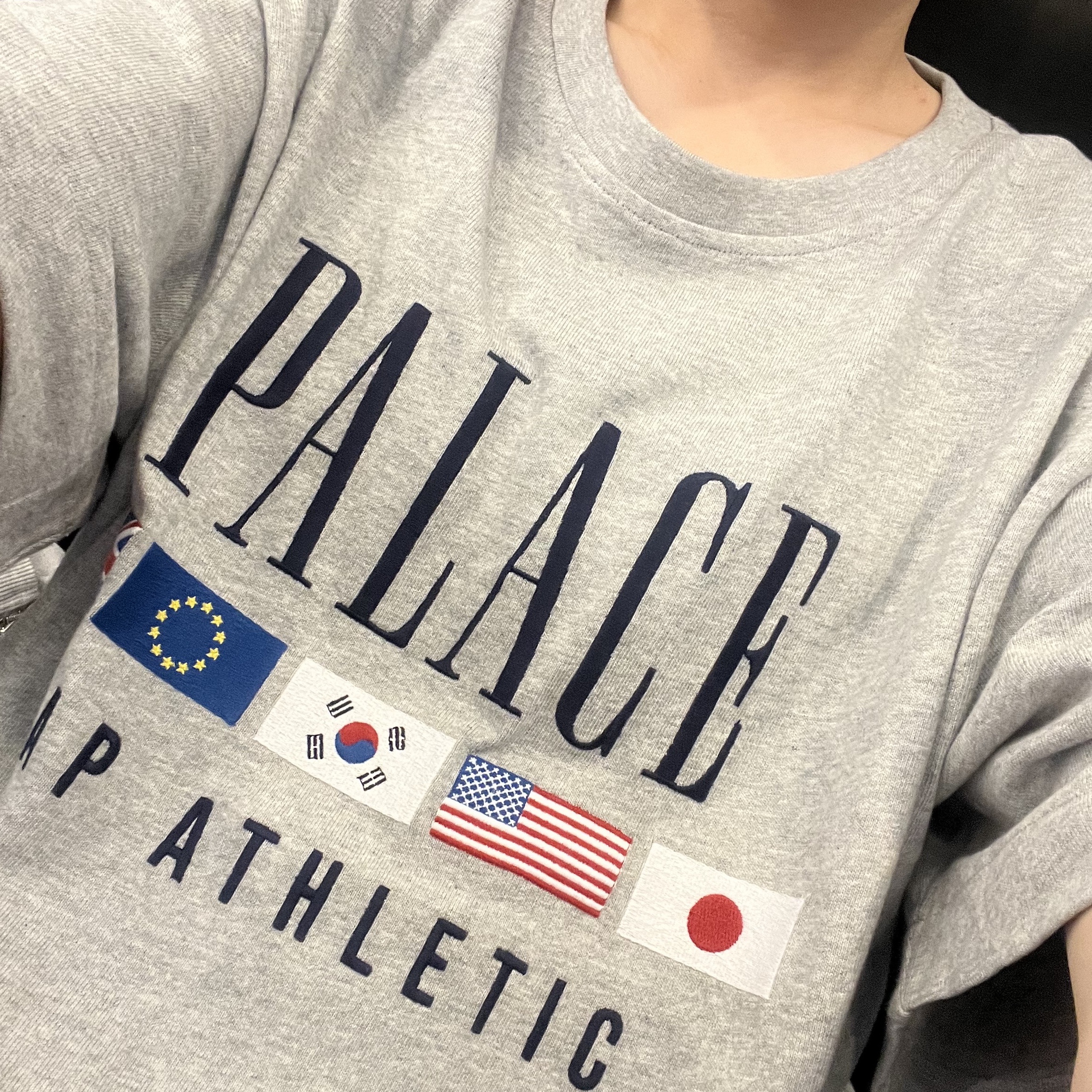 Palace x Gap Heavy Jersey T-Shirt Grey - 24SS 착용 스타일