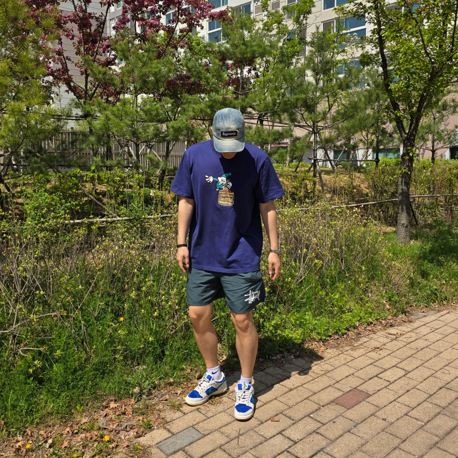 Nike SB Dunk Low Pro Phantom and Hyper Royal, Stussy Big Basic Water Shorts Atlantic 착용 스타일