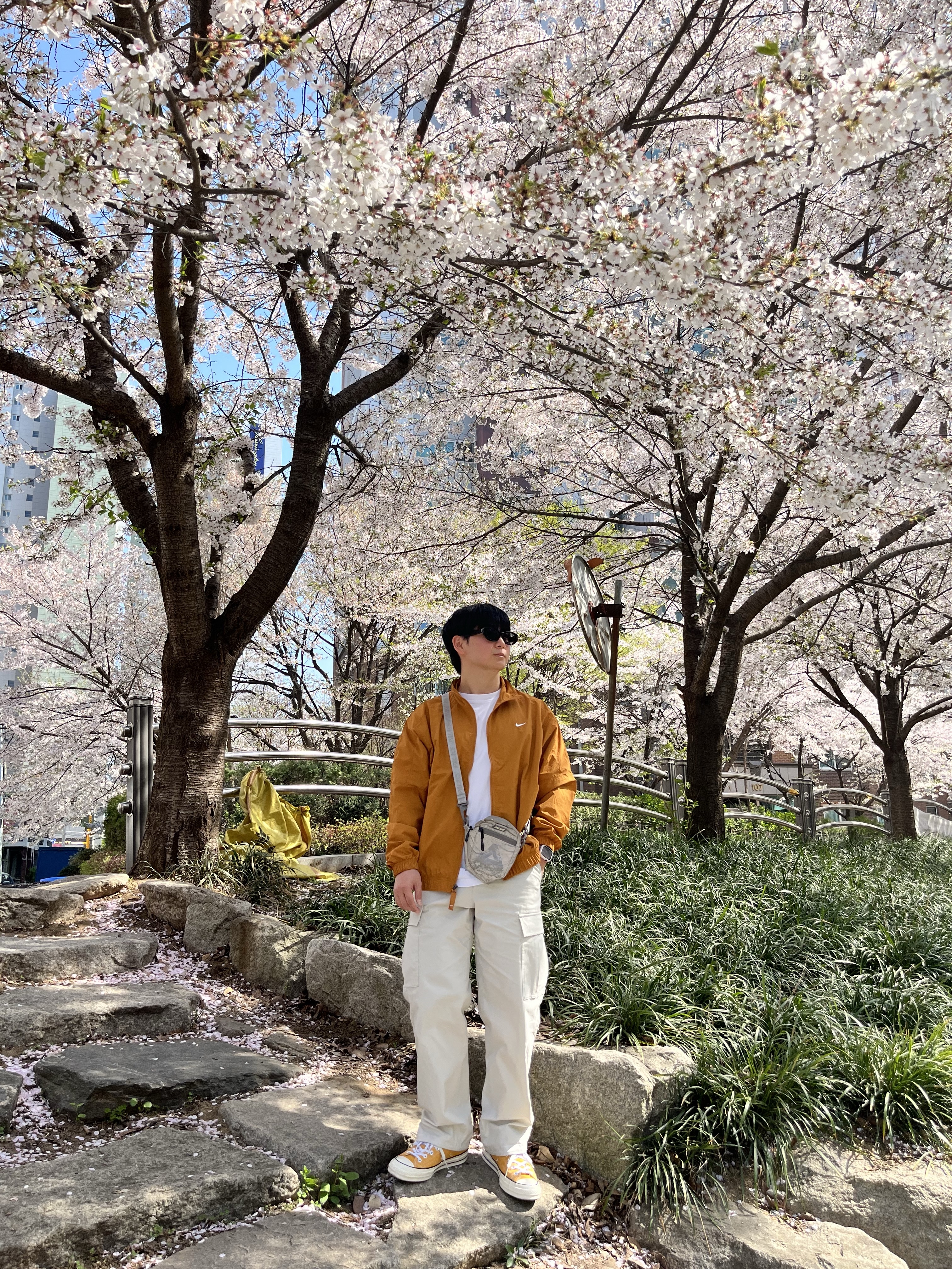 Nike NRG Solo Swoosh Woven Track Jacket Desert Ochre - Asia, Nike SB Kearny Skate Cargo Pants Black White - Asia 착용 스타일 - 2