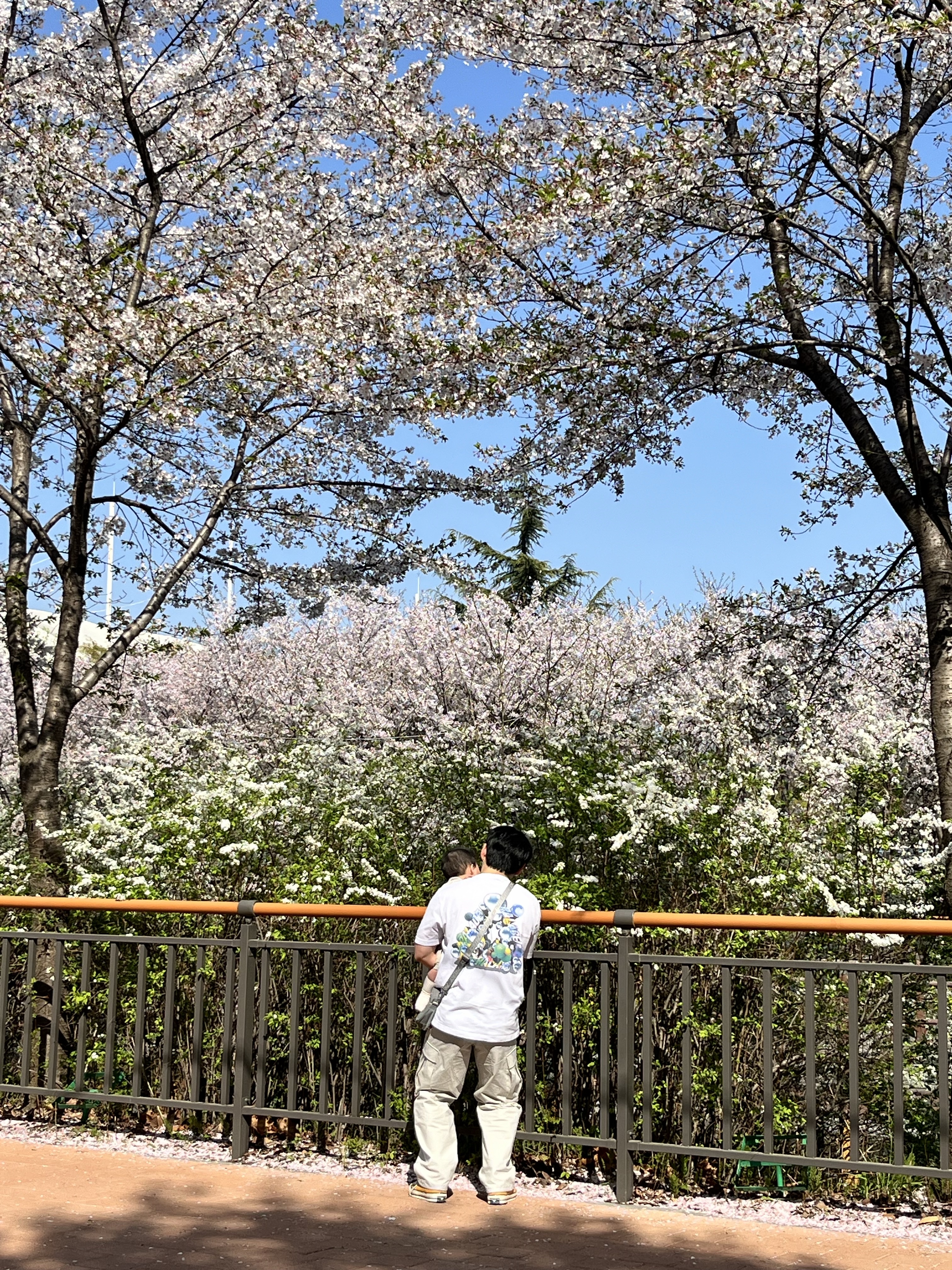 Nike NRG Solo Swoosh Woven Track Jacket Desert Ochre - Asia, Nike SB Kearny Skate Cargo Pants Black White - Asia 착용 스타일 - 5