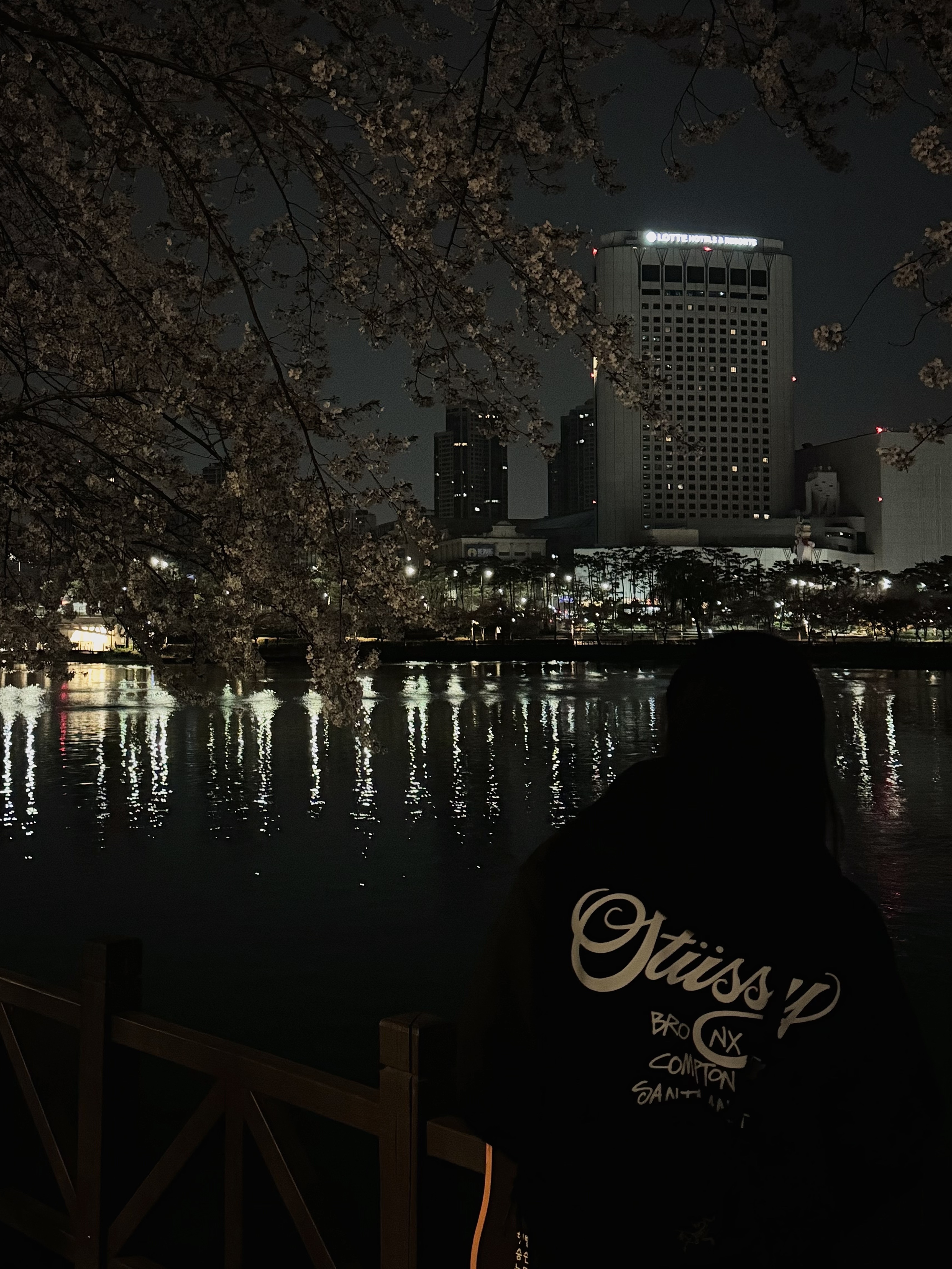 Stussy World Tour Zip Hoodie Black 2022, Arc'teryx Heliad 6 Crossbody Bag Black 착용 스타일 - 1