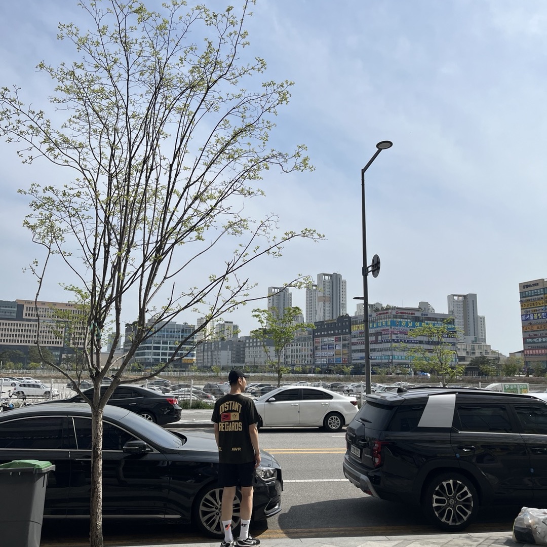 Nike Everyday Plus Cushioned Crew Socks Multicolor (3 Pack/Korean Ver.), Nike x Drake Nocta x Cactus Plant Flea Market Souvenir Cactus T-Shirt Sequoia (DR2630-355) 착용 스타일