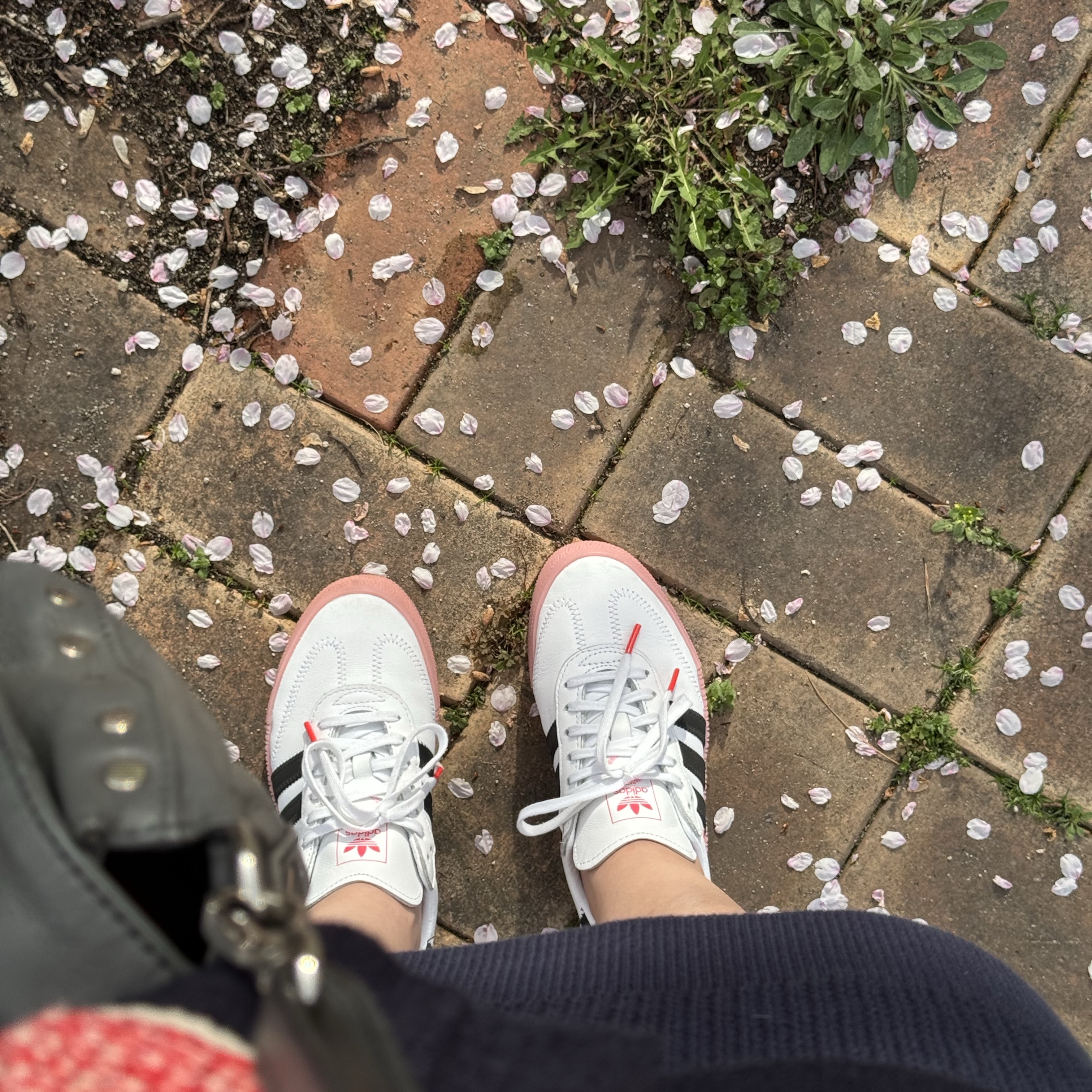 (W) Adidas Sambarose White Pink 착용 스타일 - 1